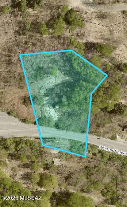 Beautiful lot surrounded with Aspens, year round access. Has septic.  Large lot 16, 739 sq ft. Beautiful location for your dream cabin.