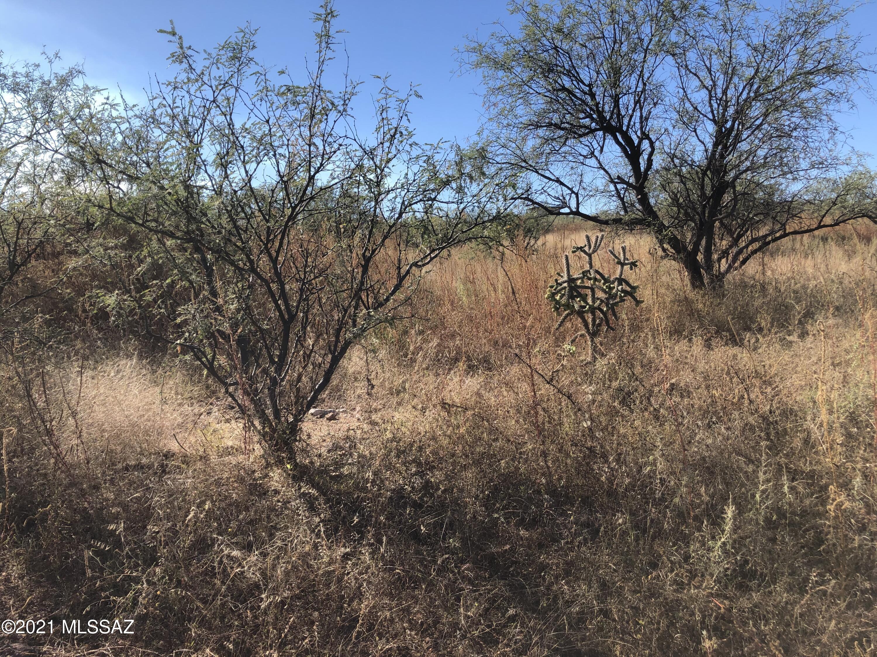 Rio Rico Ranchettes 5 - Land