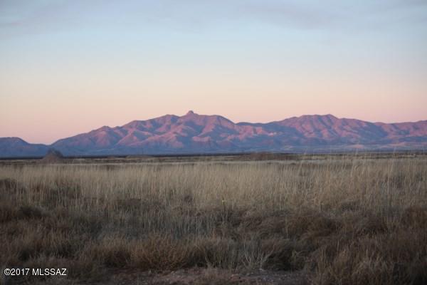 Scenic 20 acres in Southeast, Arizona near Willcox, Pearce, Sunsites, Benson and Tombstone. Property has a well share and is located in the heart of wine country. Nearby hiking, hunting, rodeos, parades and festivals. Horses and livestock welcome. Electric is nearby. Try growing wine grapes and/or planting Pistachio trees on your property. Near Coronado National Forest. Owner financing offered!