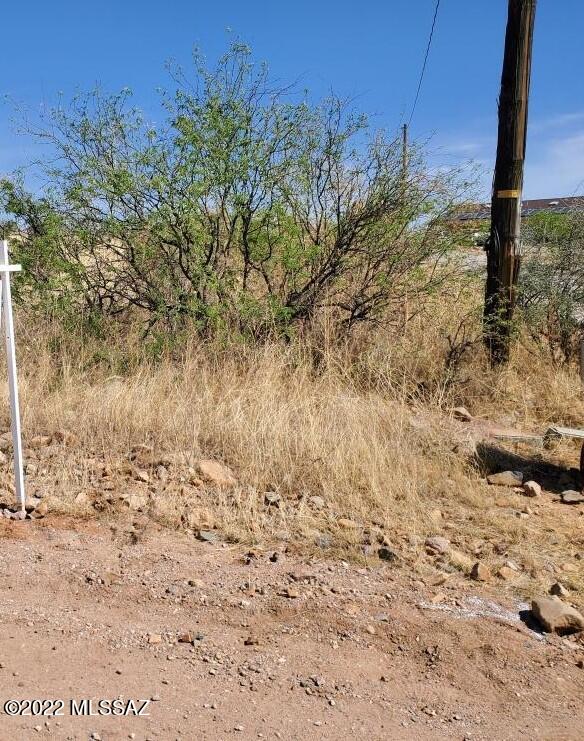 Residential lot with nice mountain views on dirt road.  Electric poles in area (need to verify service with UniSource Energy Services & water should be verified with Liberty water company during inspection period. A narrow strip from the road goes up quite a  ways to the rest of the property. See plat.