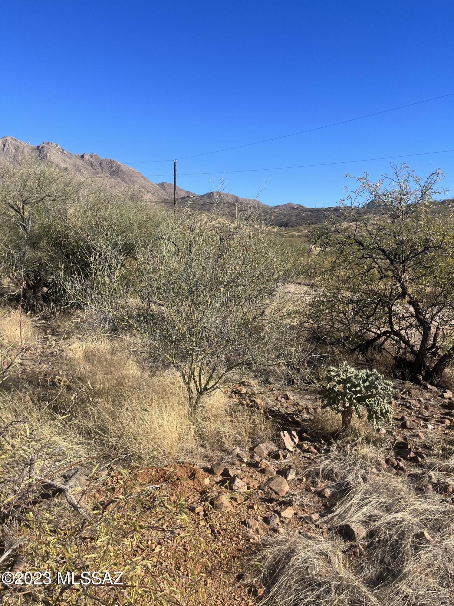 Rio Rico Ranchettes - Land