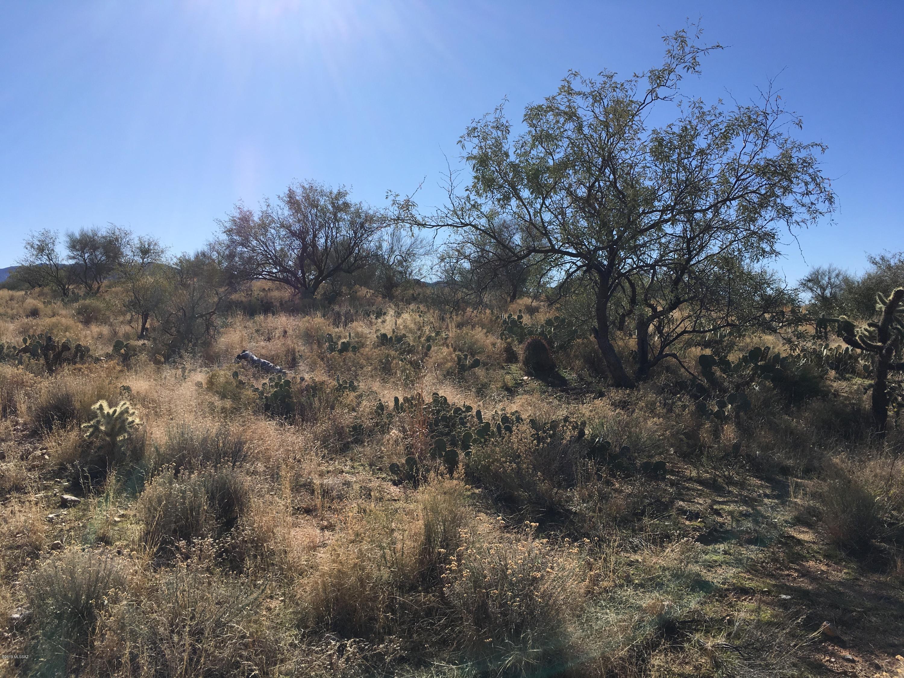 Double lot, Corner lot, great views, peaceful setting for your homesite.  Limited disclosure listing, please make an offer.  This will not last.