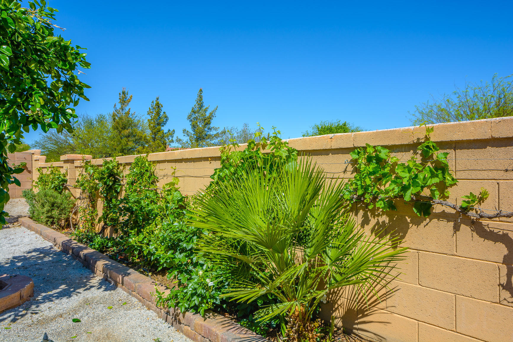Presidio Del Oro (1-163) - Residential