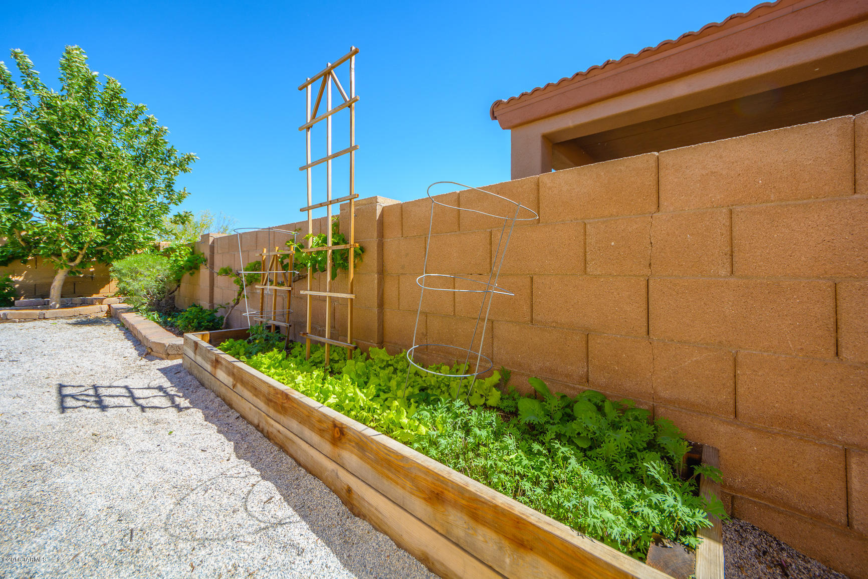 Presidio Del Oro (1-163) - Residential