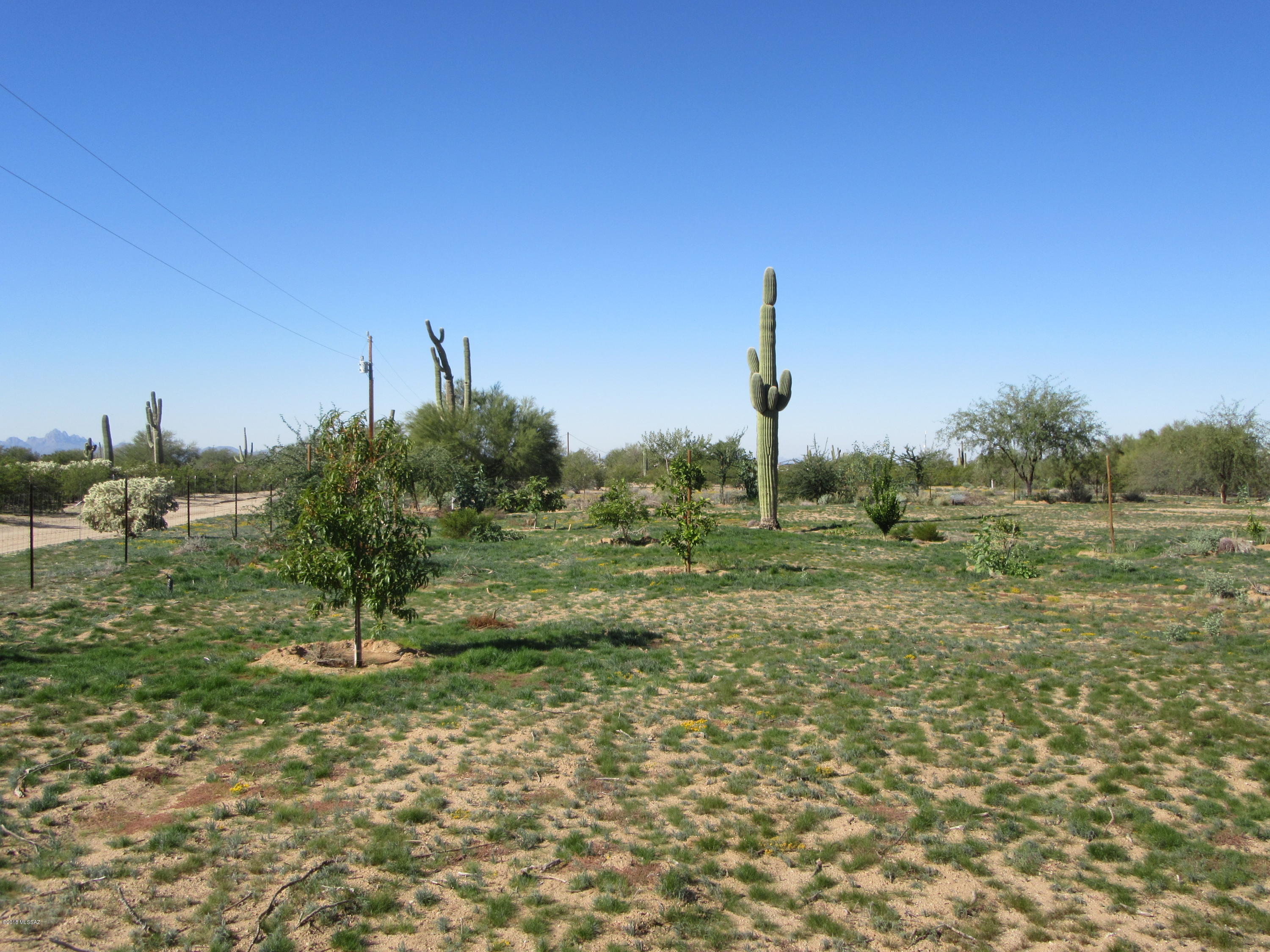 Completely fenced with water and power!  Water already in on property with numerous spigots. Wide variety of cacti planted along the perimeter. Water is well share.   1/4 mile of dirt off pavement! Great Tortolita and Tucson Mountain Views! Growing area of Pinal County that gives you good quick access on Interstate 10 back into Tucson or North to Phoenix! About 15 minutes from I-10! Lots of nice saguaros! 30 minutes to all major shopping at Tangerine/Thornydale or Cortaro/Silverbell.