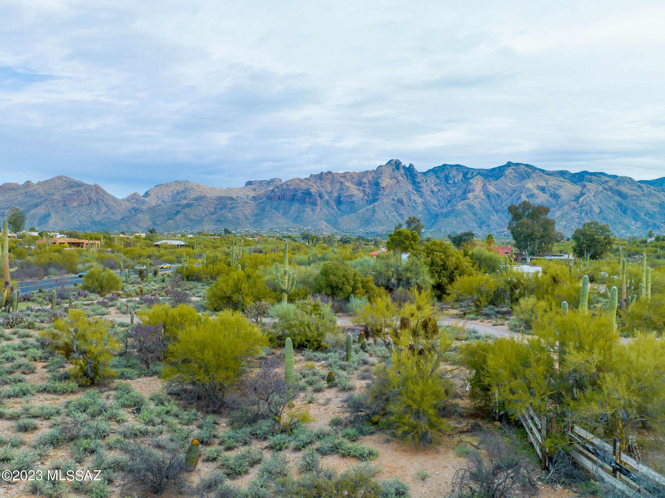 Catalina Foothills Estates - Land