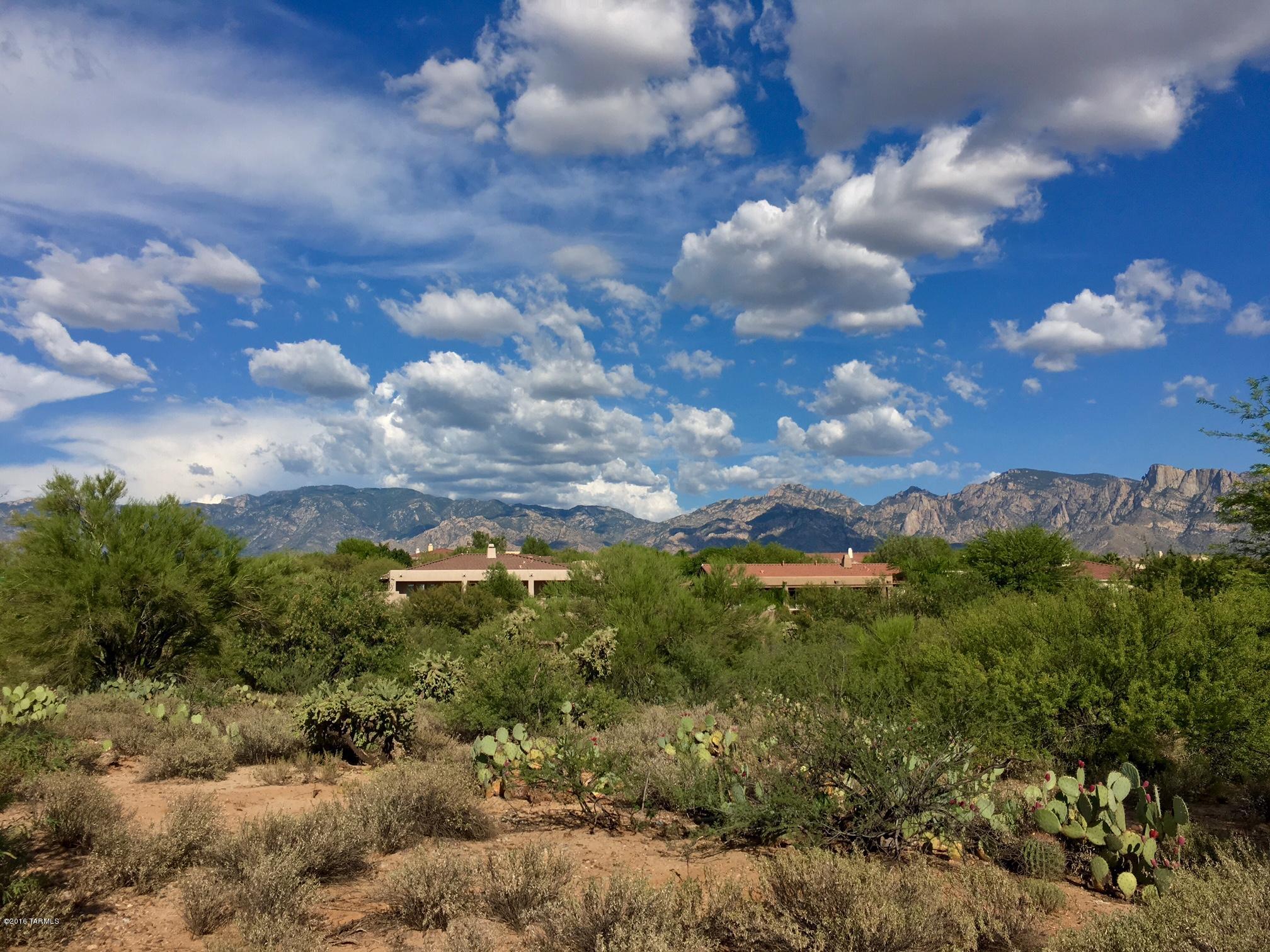 VERY RARE .71 ACRE CUSTOM HOMESITE IN RANCHO VISTOSO IN QUAINT CUL-DE-SAC. WITH THE SOUGHT AFTER CATALINA MOUNTAIN VIEWS, REAR YARD EAST FACING EXPOSURE AND COMPLETE INFRASTRUTURE READY TO BUILD YOUR DREAM HOME THIS BECOMES ONE OF RANCHO VISTOSO’S BEST OPPORTUNITIES. BEAUTIFUL 2400 SQ. FT. HOME HAS BEEN DESIGNED TO MAXIMIZE THE BEAUTY OF THIS SITE AND IS AVAILABLE AT AN ADDITIONAL COST OR CUSTOM BUILD YOUR OWN VERSION OF THE PERFECT HOME.