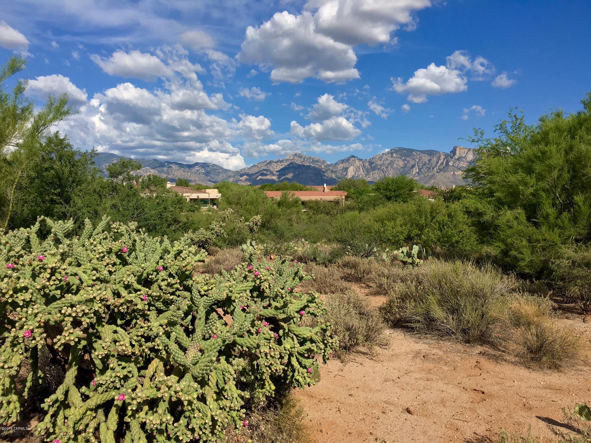 Vistoso Estates (1-35) - Land