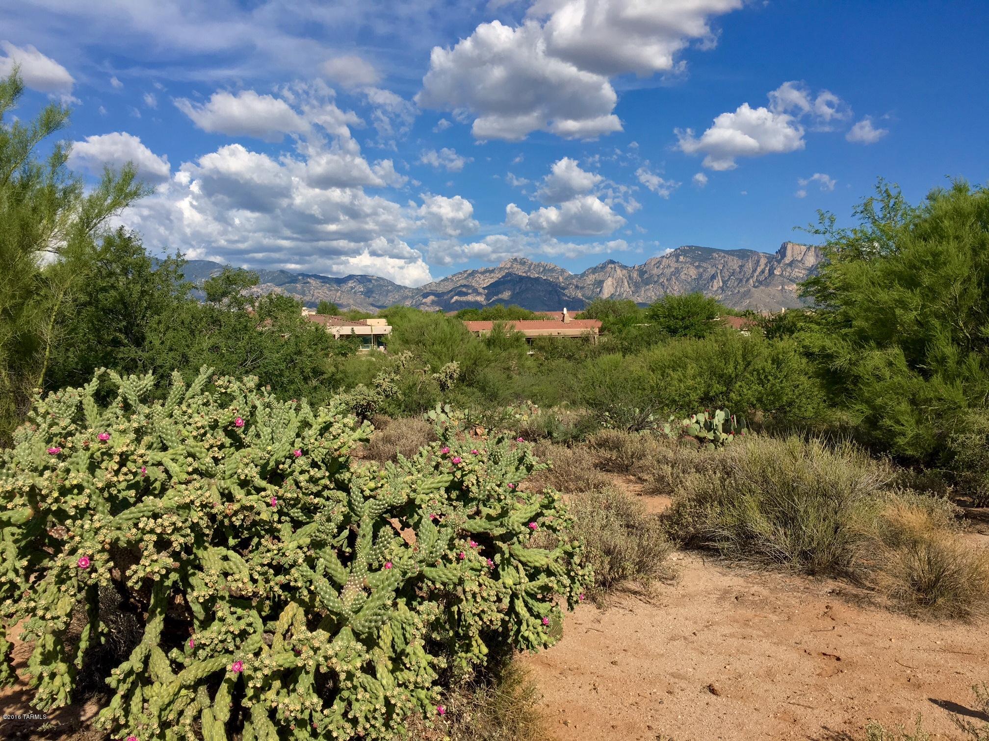 Vistoso Estates (1-35) - Land