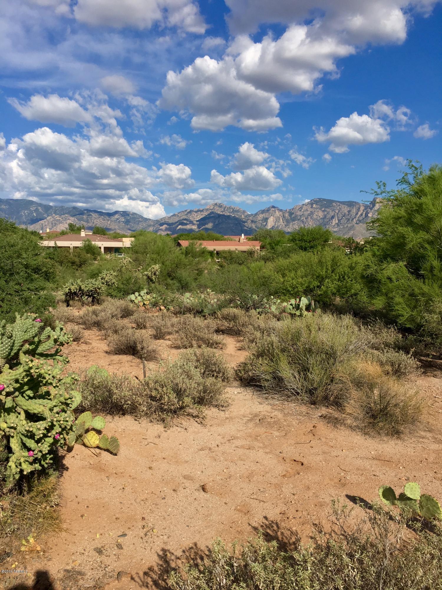 Vistoso Estates (1-35) - Land