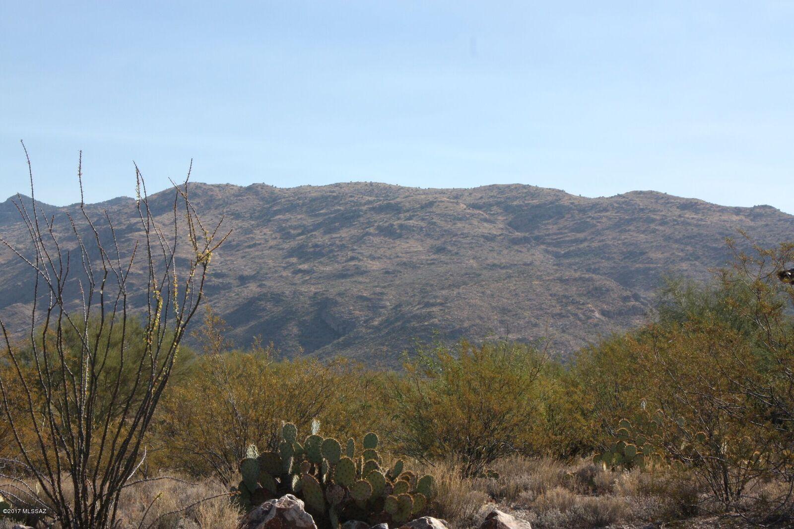 Saguaro Monument Estates - Land