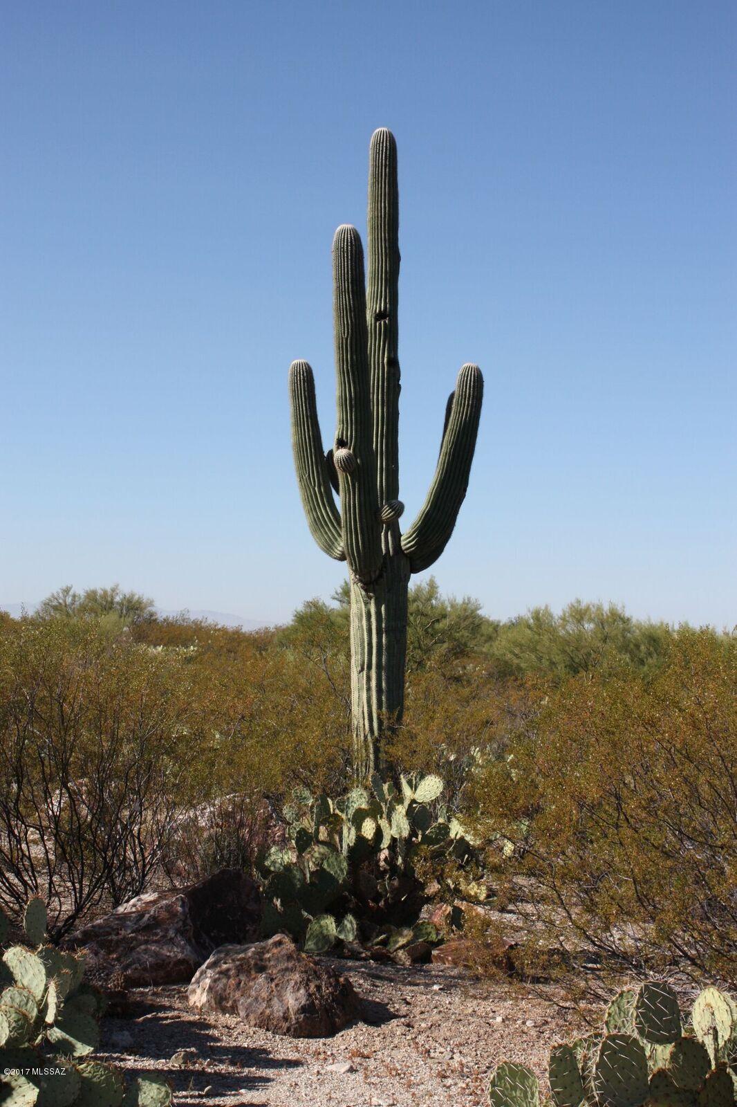 Saguaro Monument Estates - Land