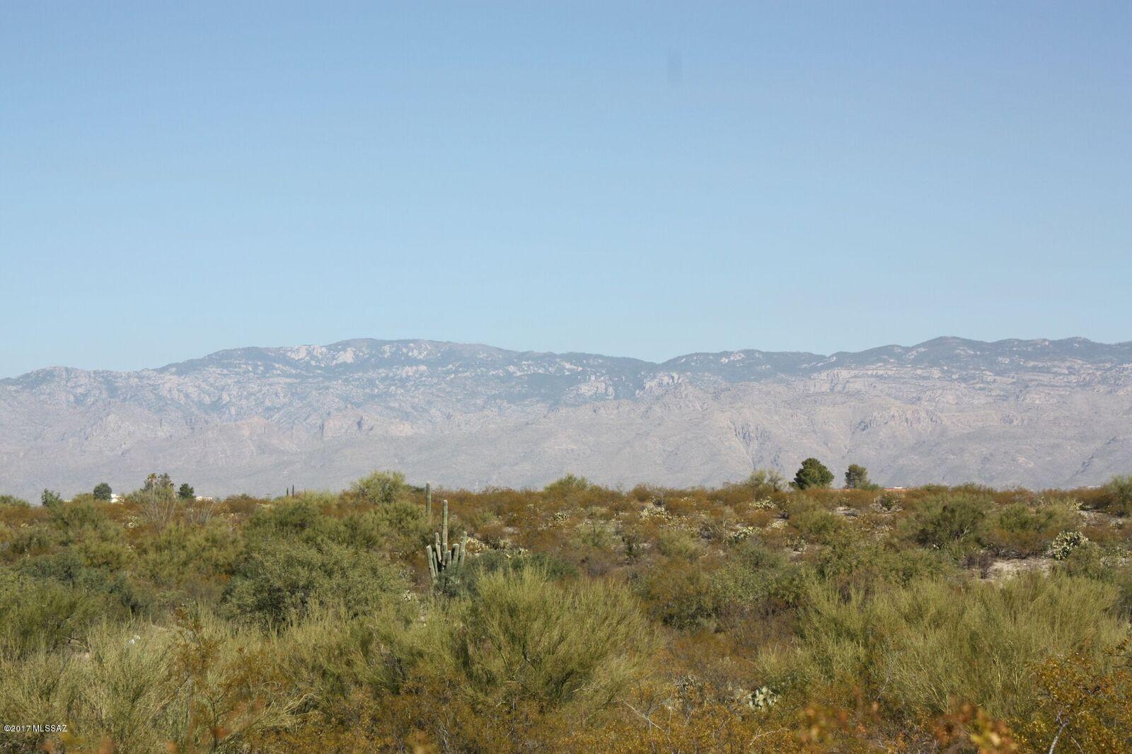 Saguaro Monument Estates - Land