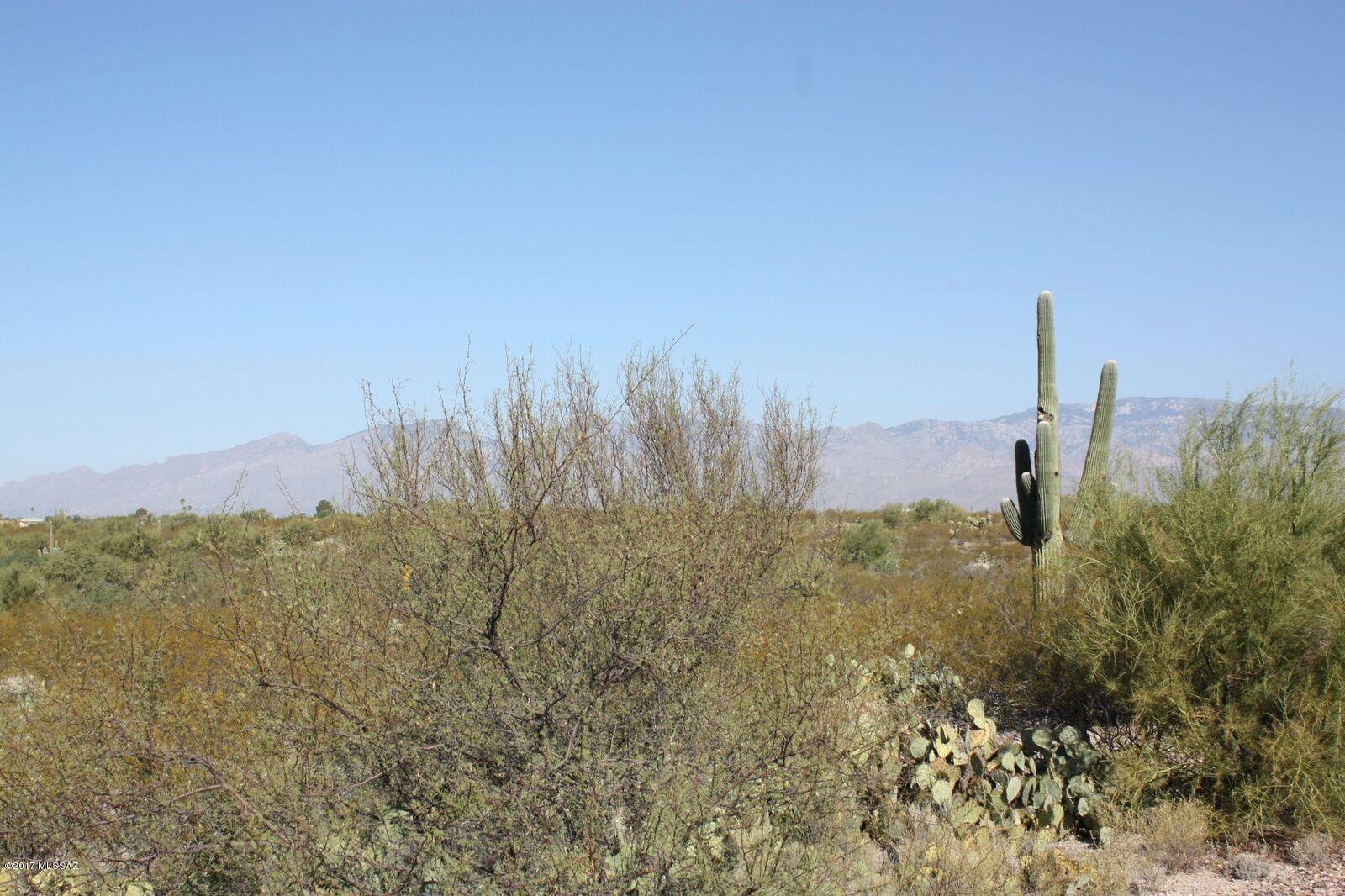 Saguaro Monument Estates - Land