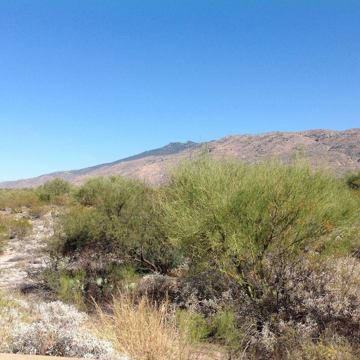 Saguaro Monument Estates - Land