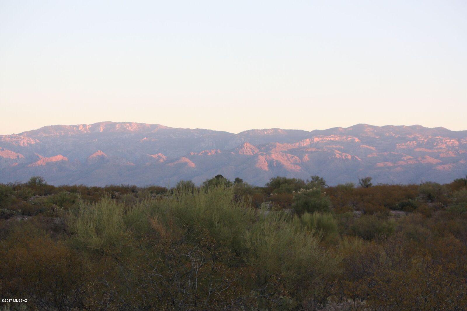 Saguaro Monument Estates - Land
