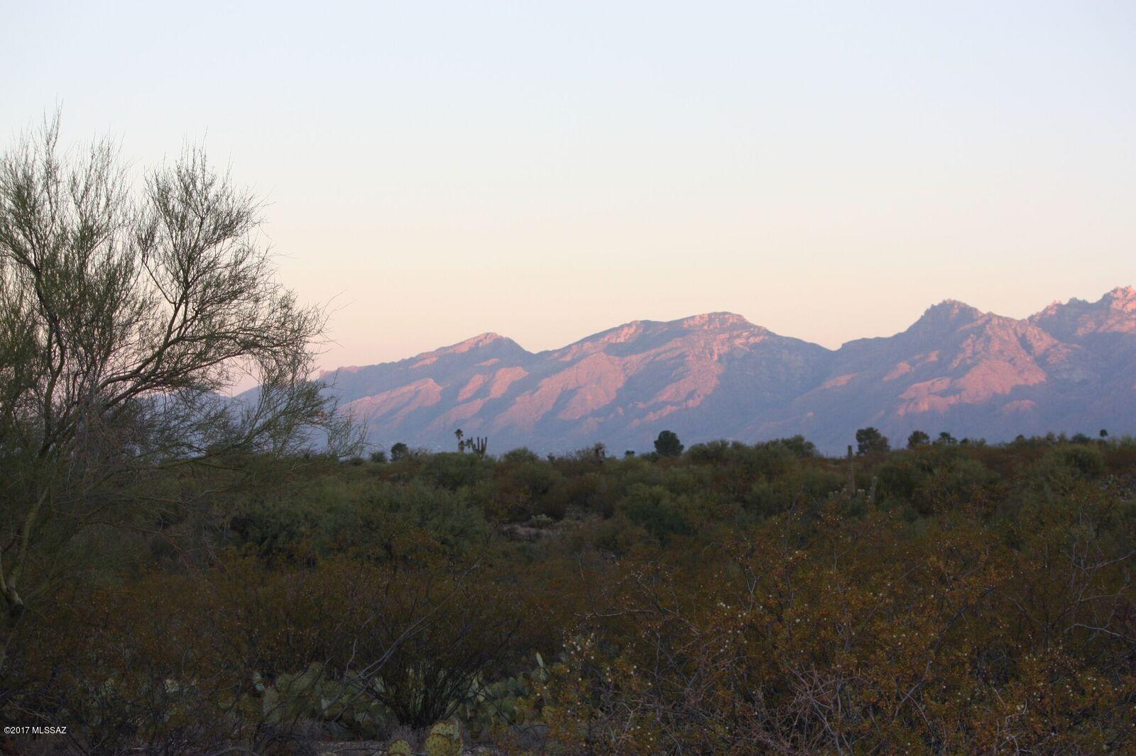 Saguaro Monument Estates - Land