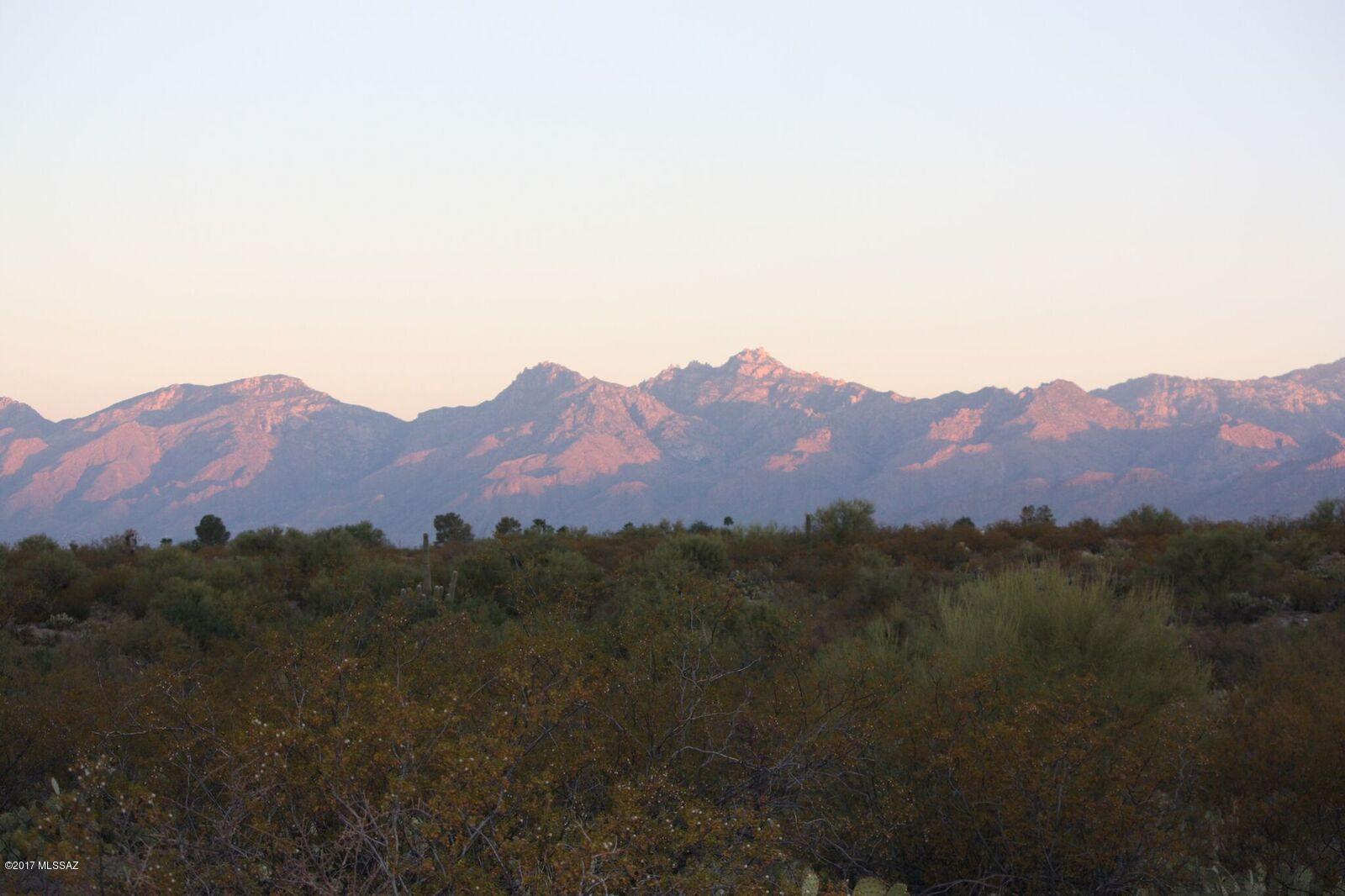 Saguaro Monument Estates - Land