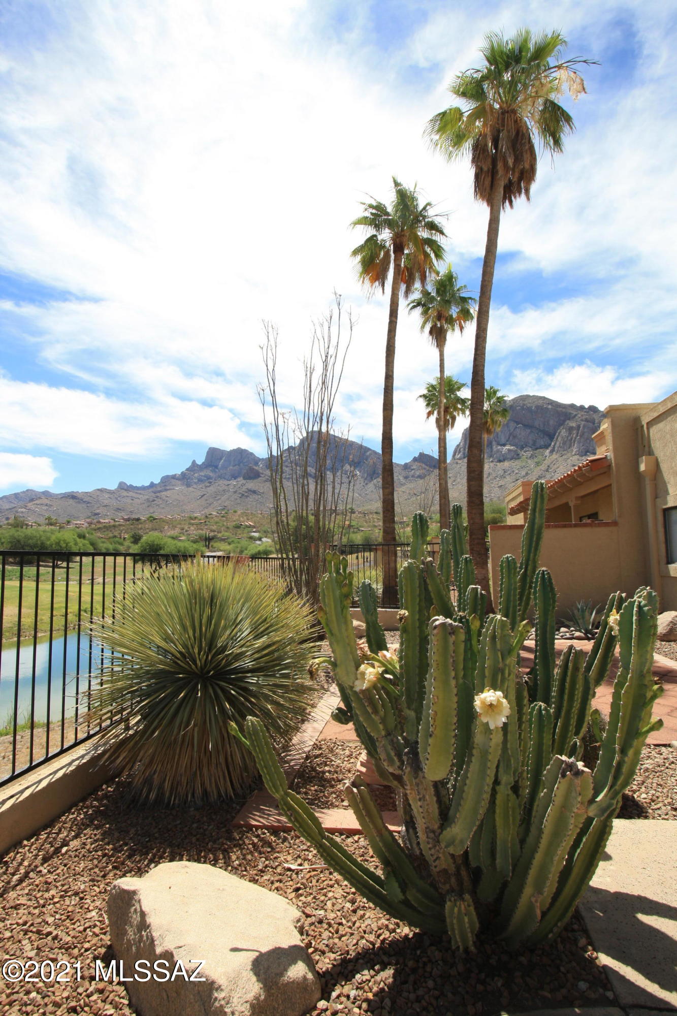 El Conquistador Resort Patio Homes (1-95) - Residential Lease