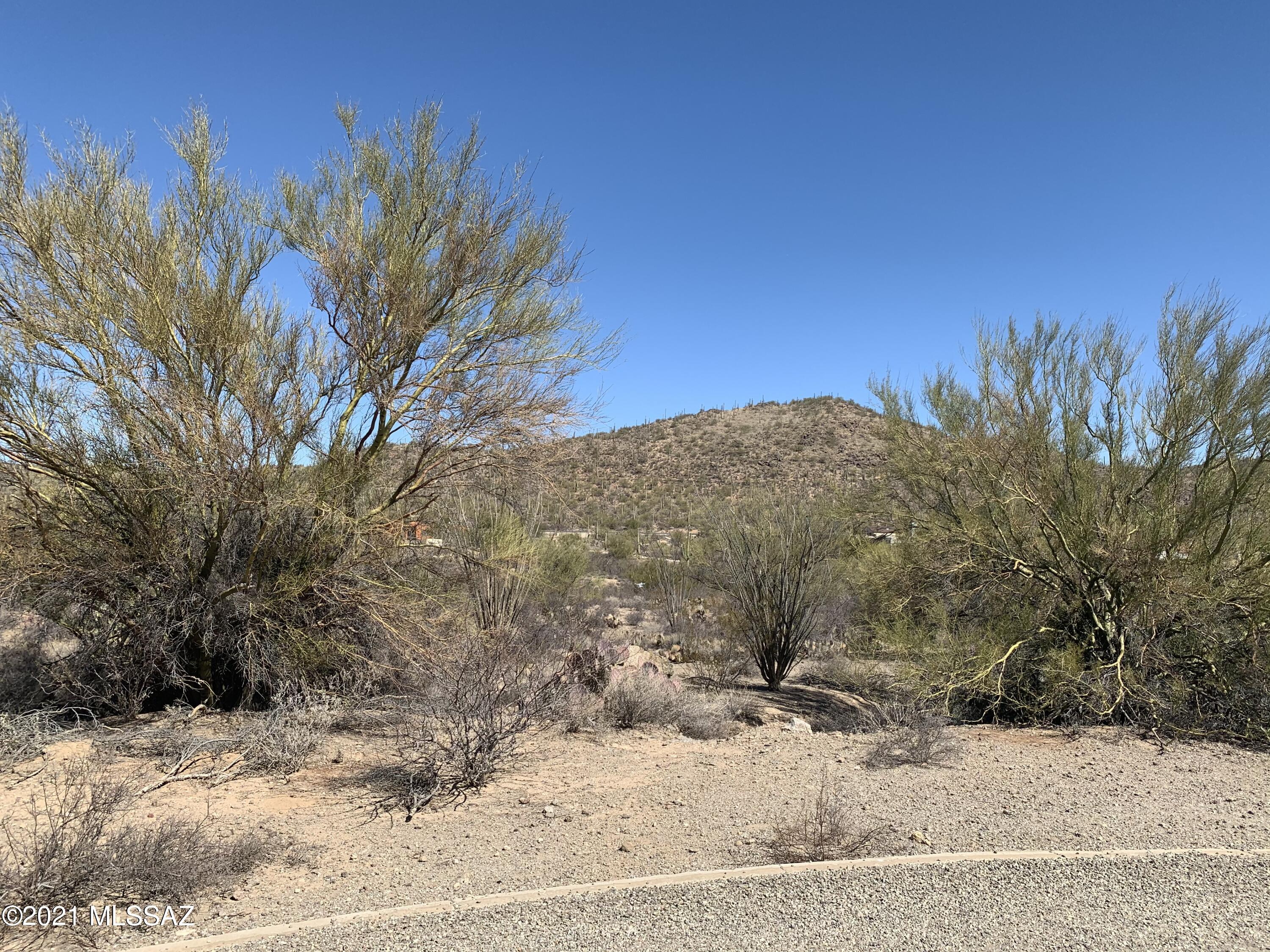 Mesquite Hills (1-21) - Land