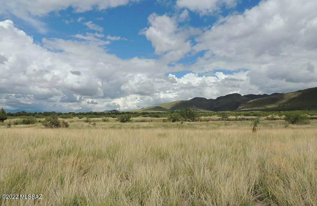UNIQUE 10 ACRES at the base of the Chiricahua Mountains. Turkey Creek runs through the SW corner of the property creating a path for abundant wildlife. Approx. 1.2 miles to paved Hwy 181 and a short drive to Hwy 191 makes various business possibilities into real opportunities such as: Vineyard, orchard, or animals. Numerous vineyards already in the area for wine tasting. Keeling Schaefer Vineyard, Sonoran Wines, and Dreamcatcher Bed and Breakfast less than 5 miles away! ELECTRIC AND PHONE to property line. Dark Skies for star gazing. Call today to see all the many possibilities this property has to offer.