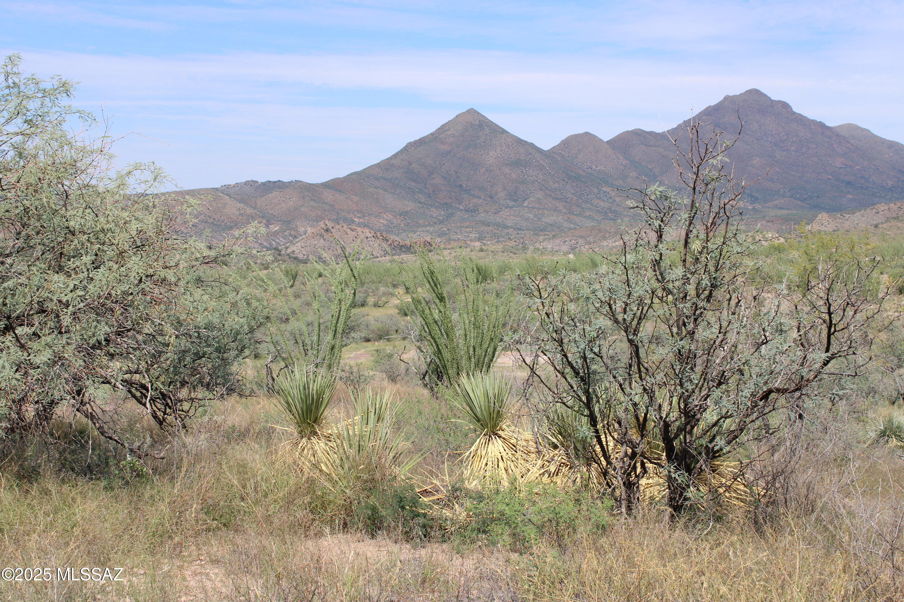 Rio Rico Ranchettes - Land