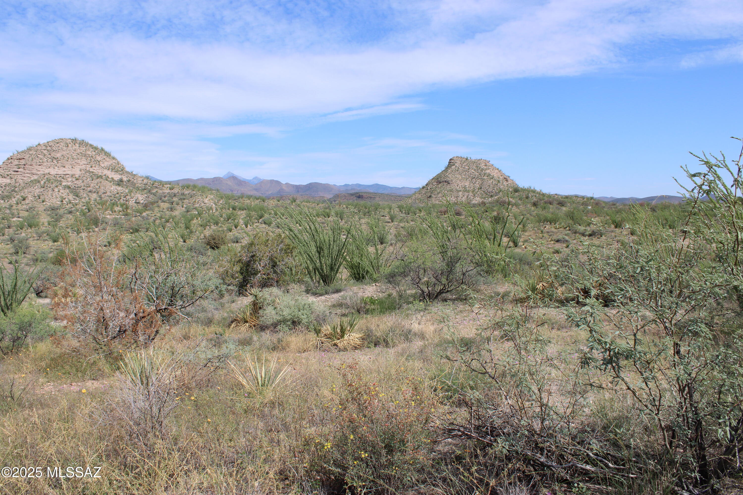 Rio Rico Ranchettes - Land