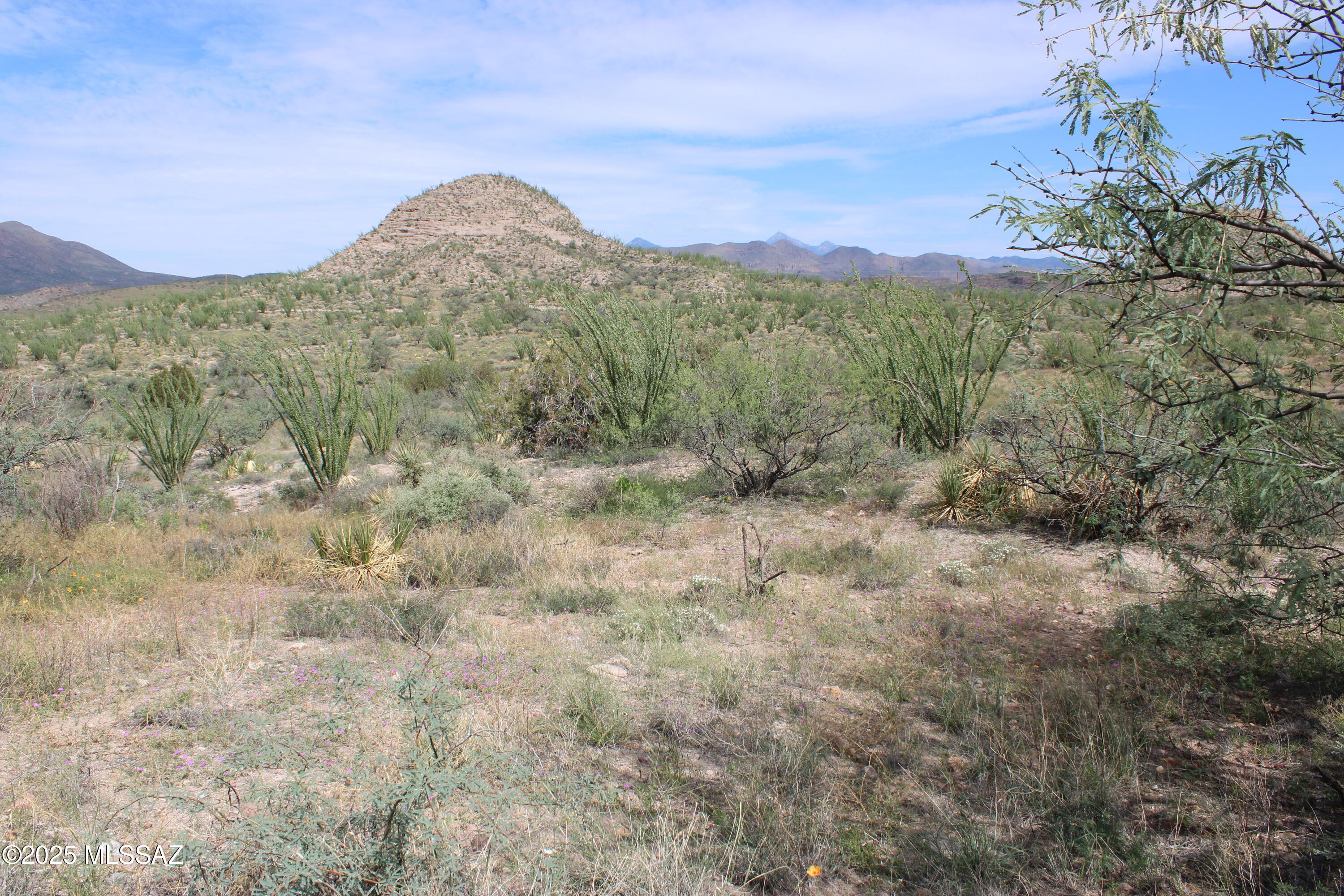 Rio Rico Ranchettes - Land