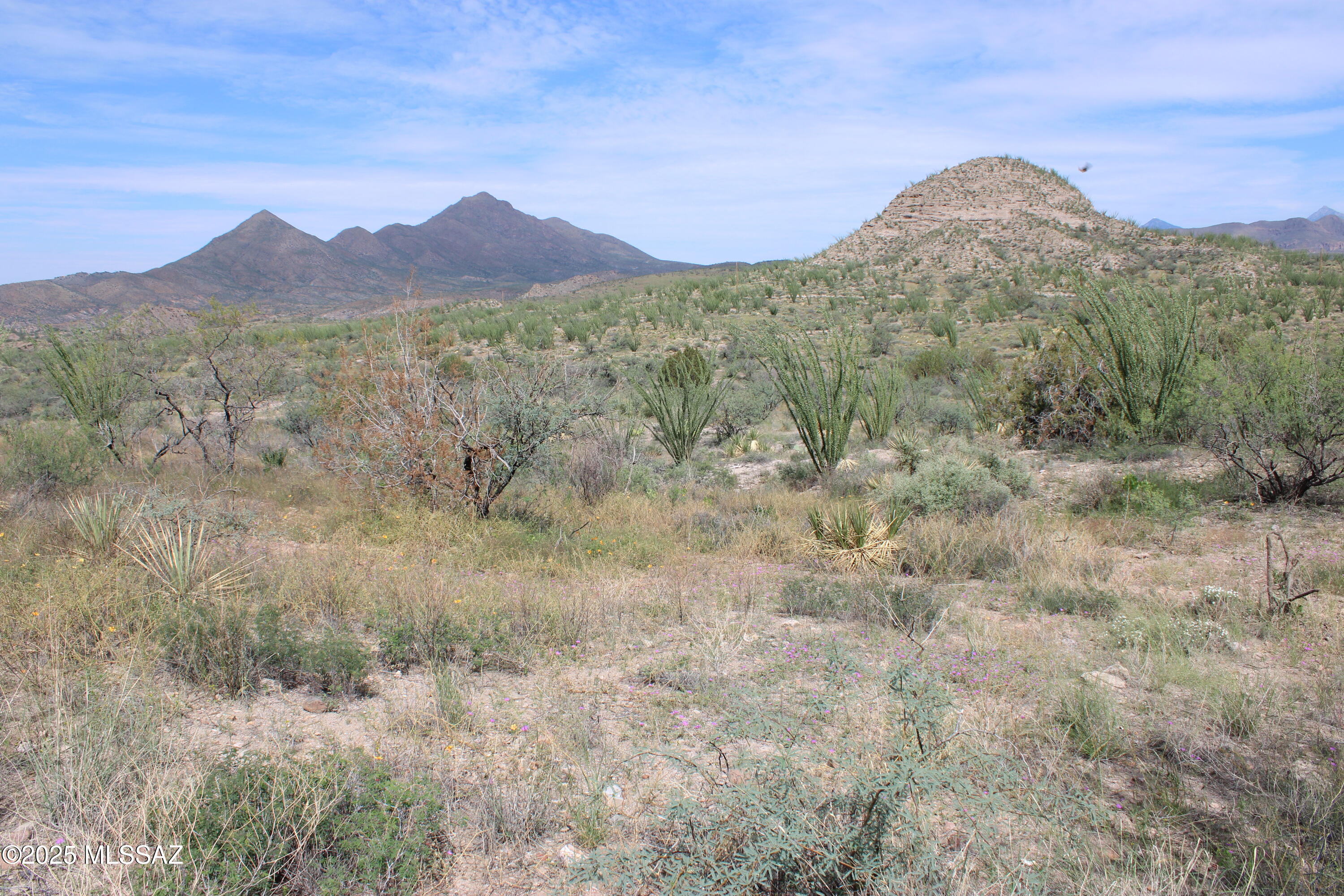 Rio Rico Ranchettes - Land