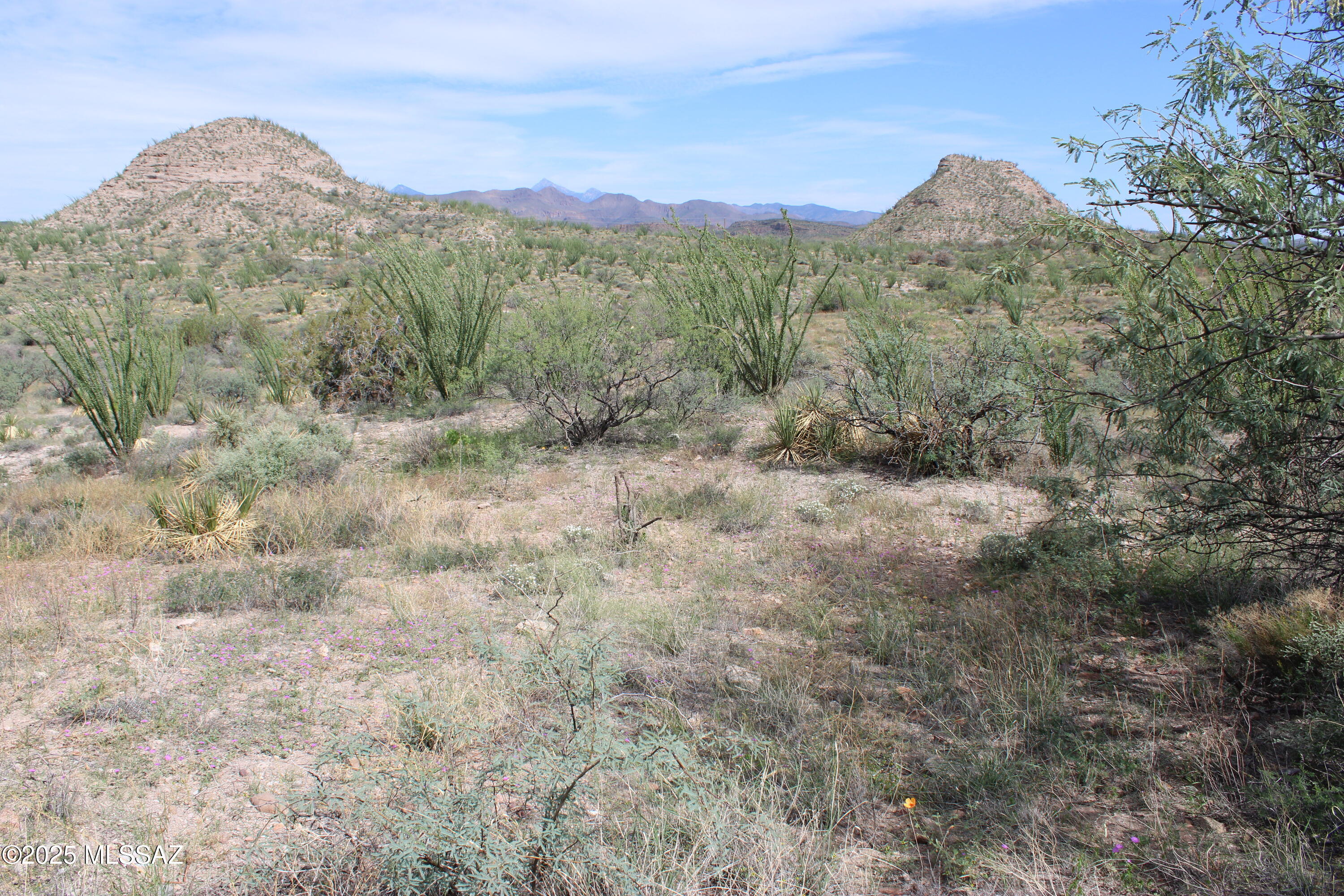 Rio Rico Ranchettes - Land