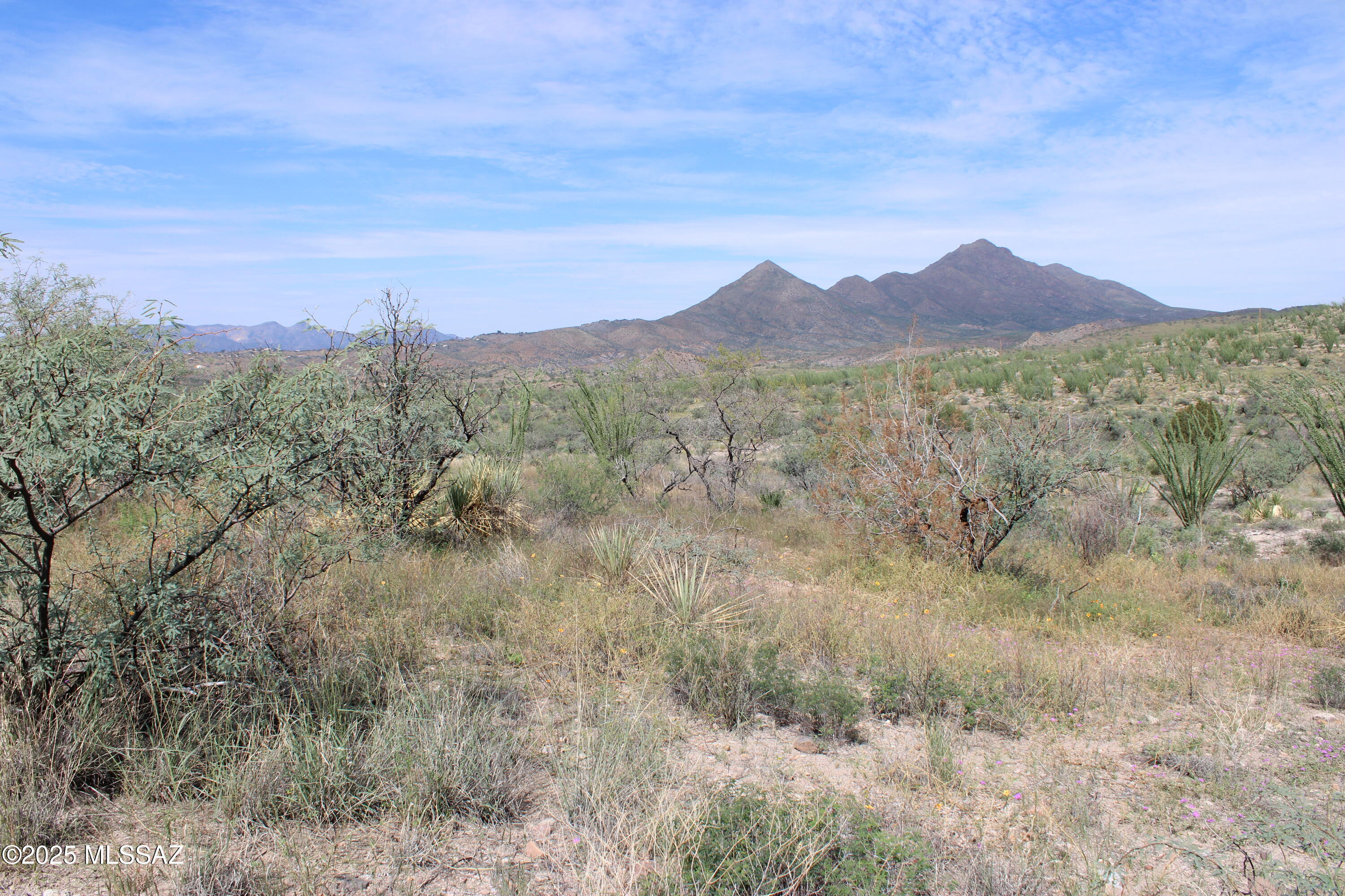 Corner lot on paved road.  Electric poles at the street.  Fantastic rural views of the surrounding mountains.  Lot is pretty level but has a little slope to it.