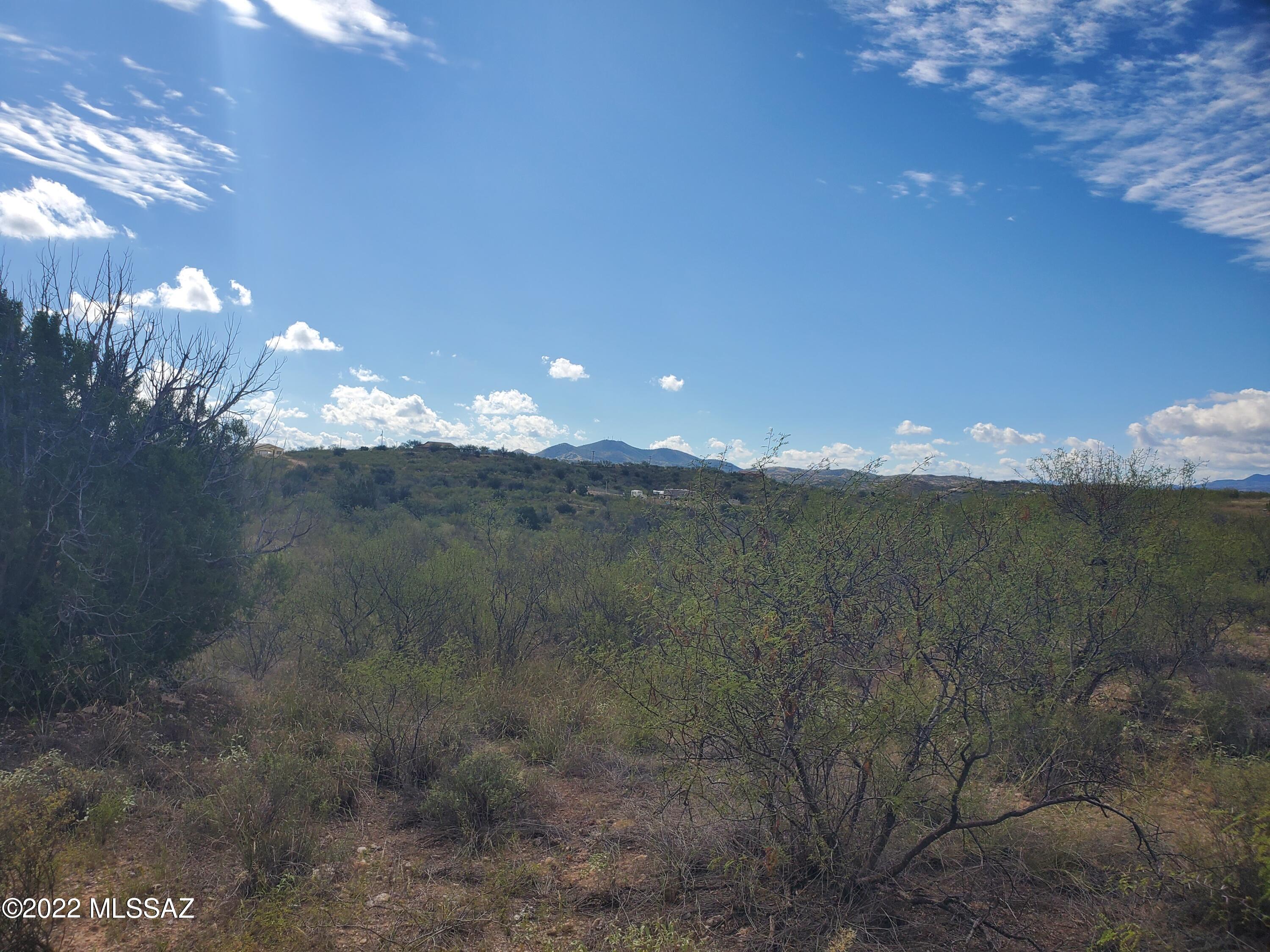 Rio Rico Ranchettes 11 - Land