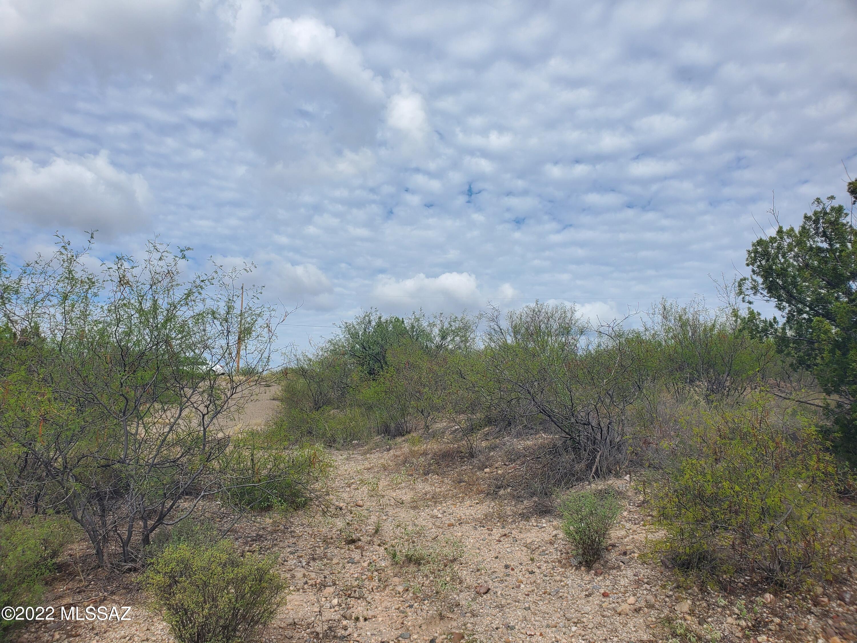 Rio Rico Ranchettes 11 - Land