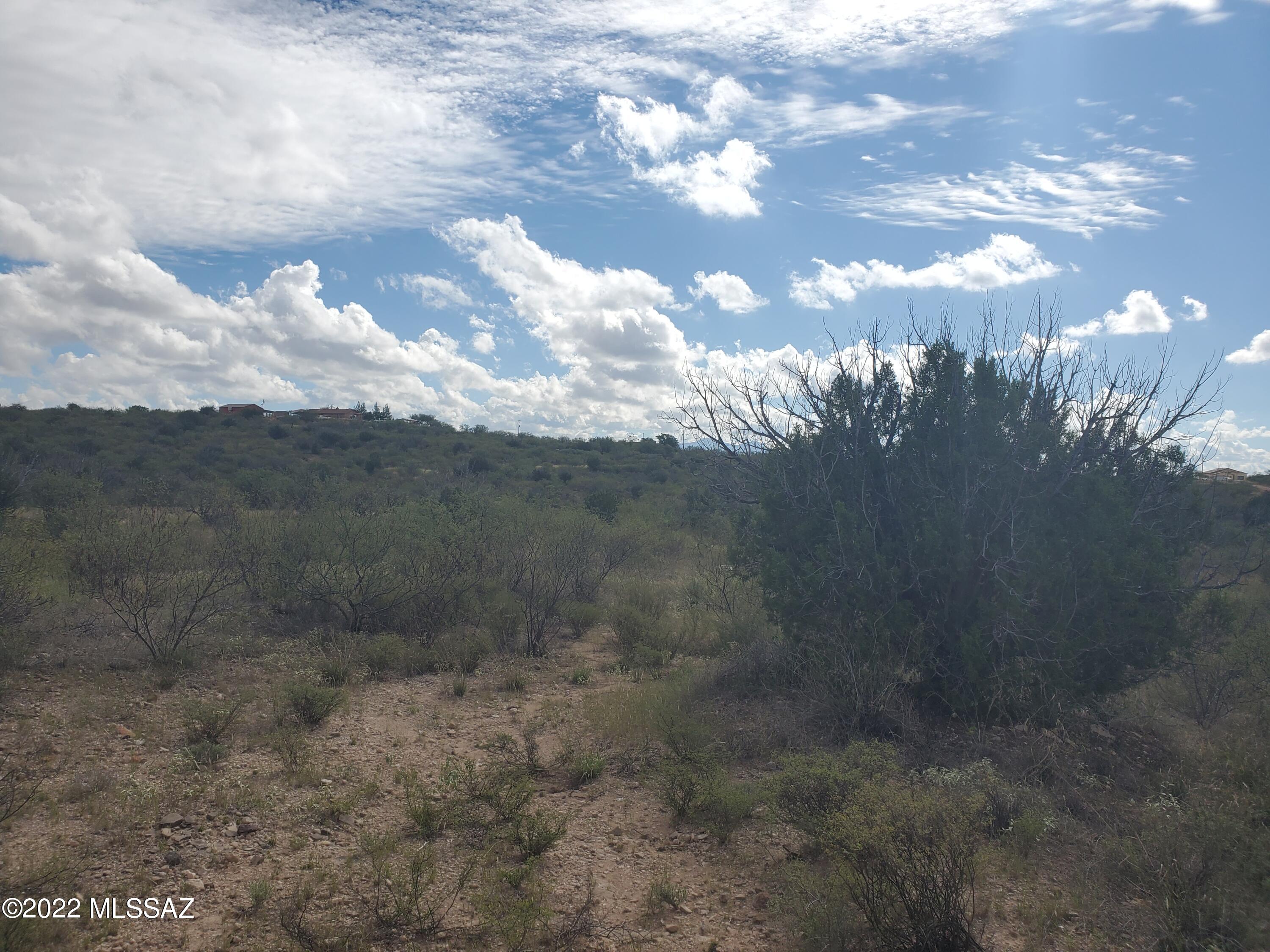 Rio Rico Ranchettes 11 - Land