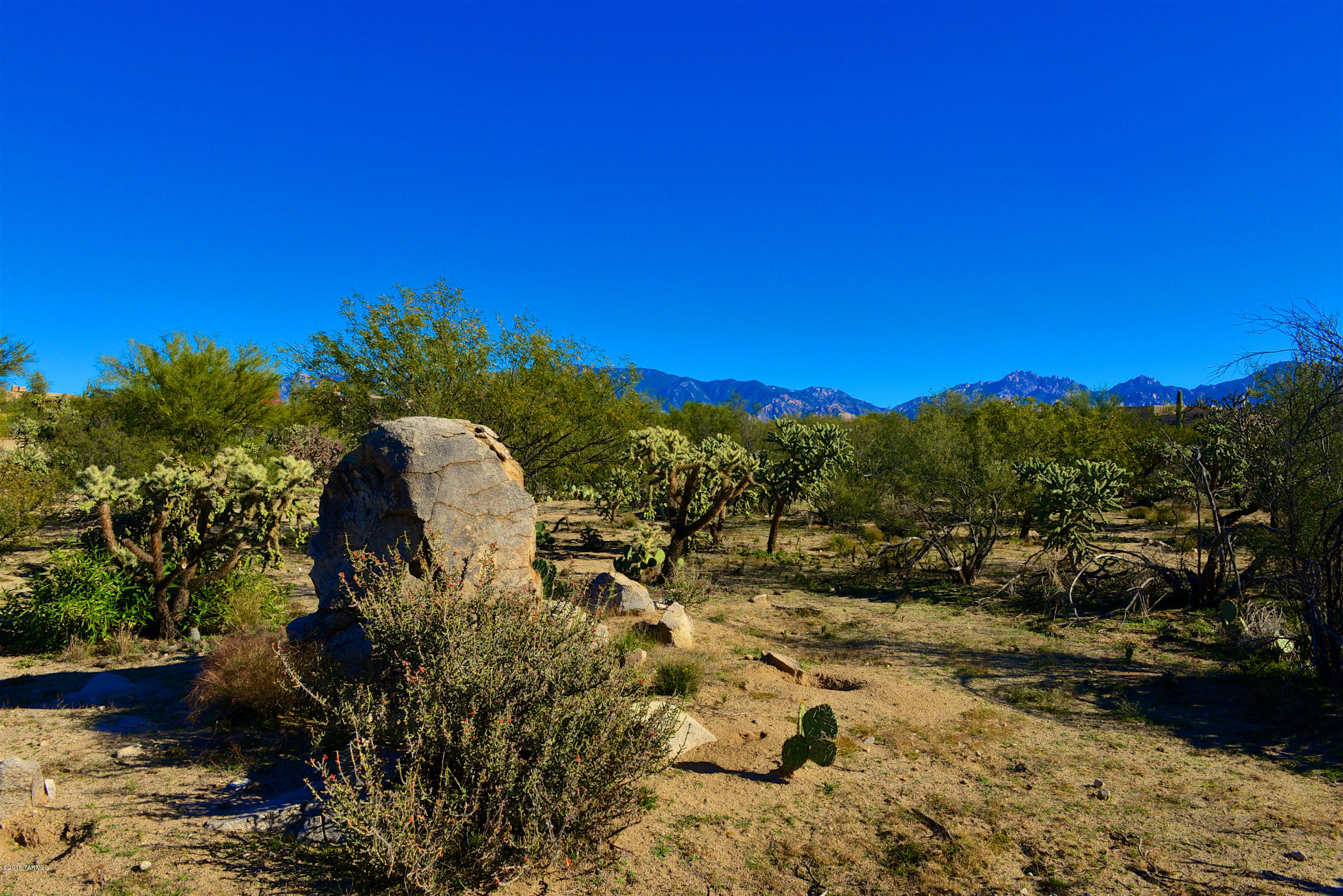 Honey Bee Ridge(The Estates At) - Land