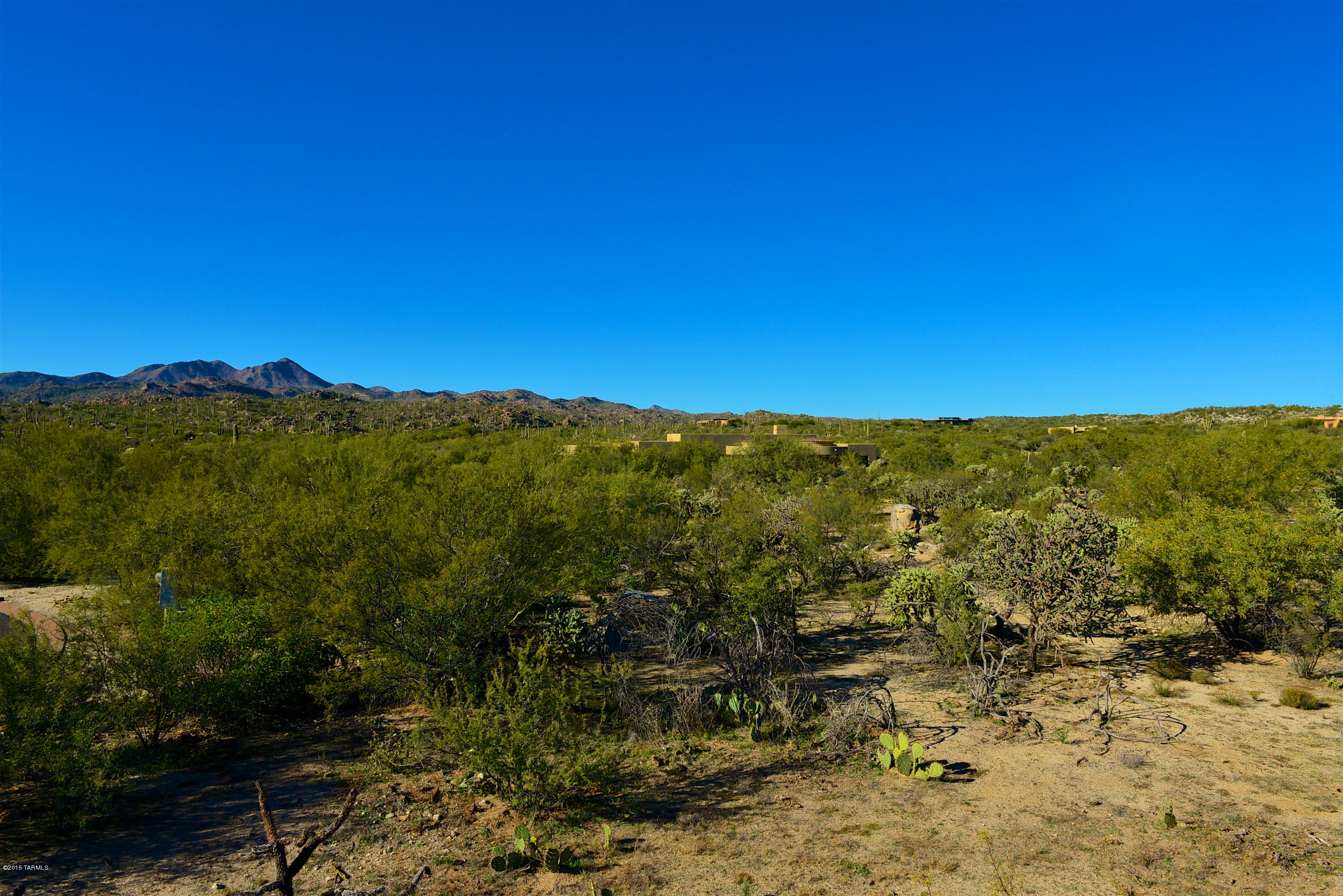 Honey Bee Ridge(The Estates At) - Land