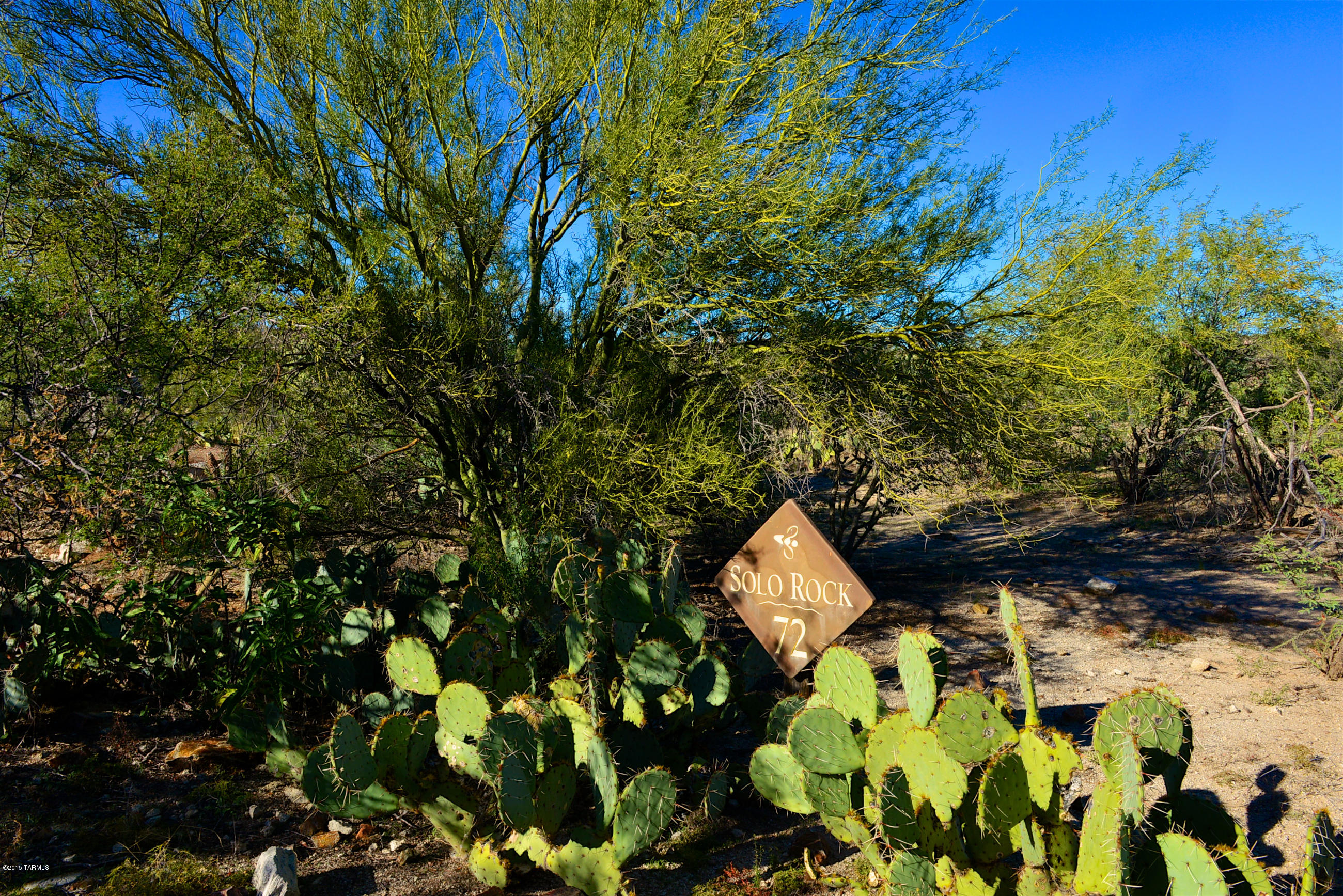 Honey Bee Ridge(The Estates At) - Land