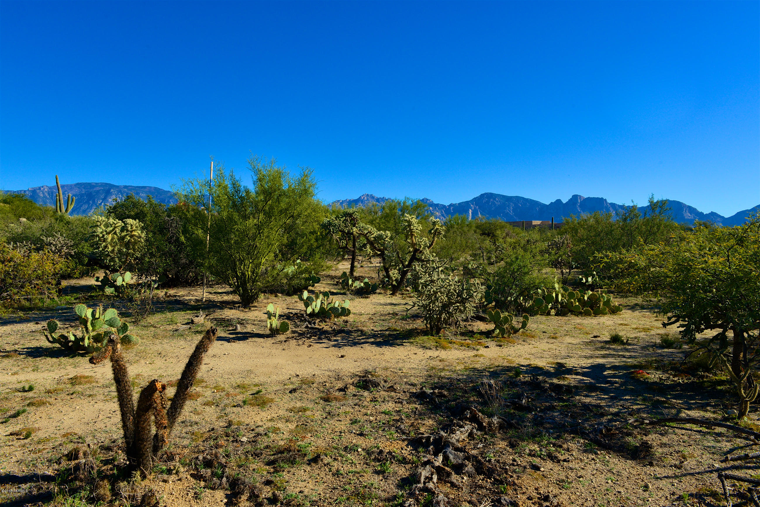 Honey Bee Ridge(The Estates At) - Land