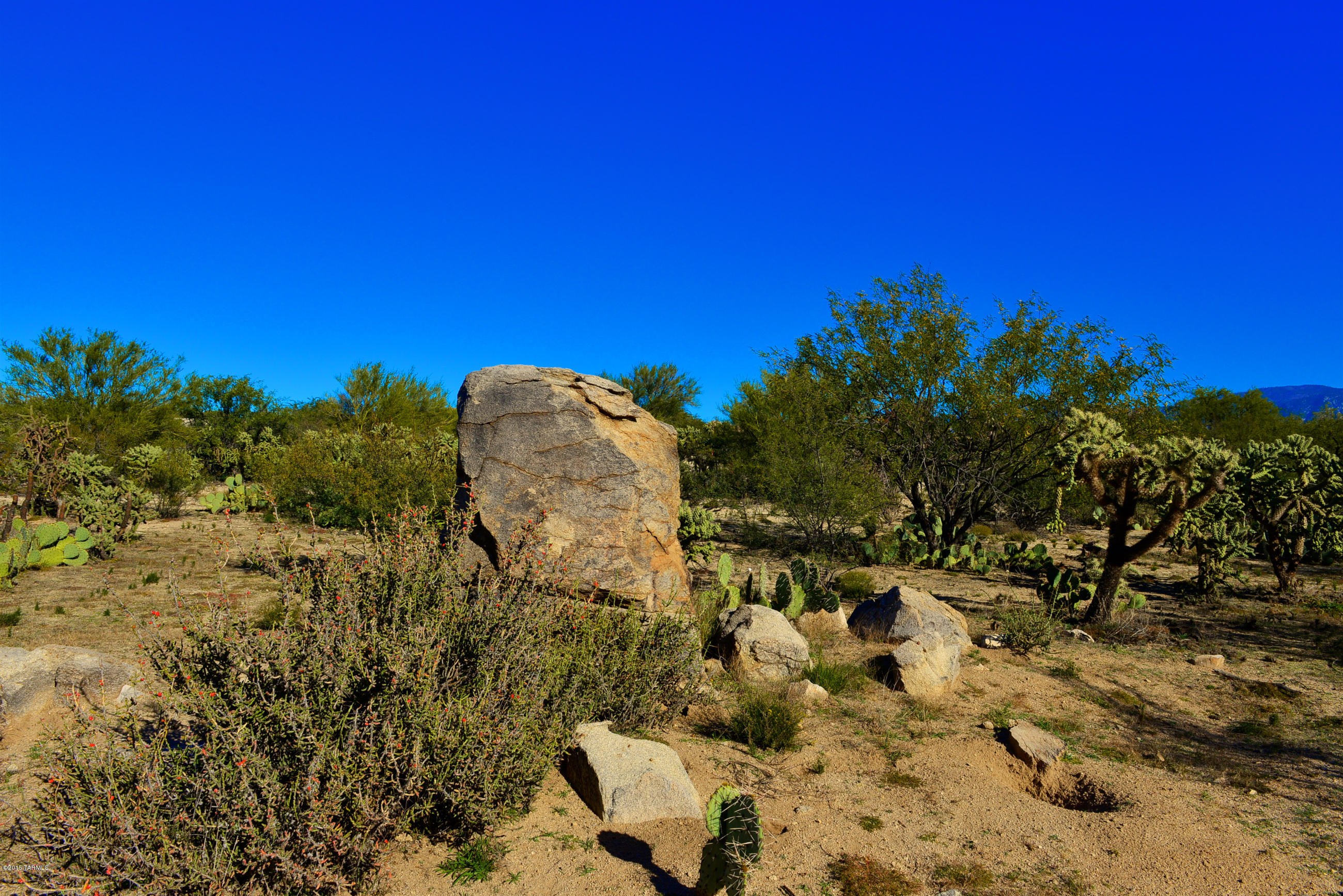 Honey Bee Ridge(The Estates At) - Land