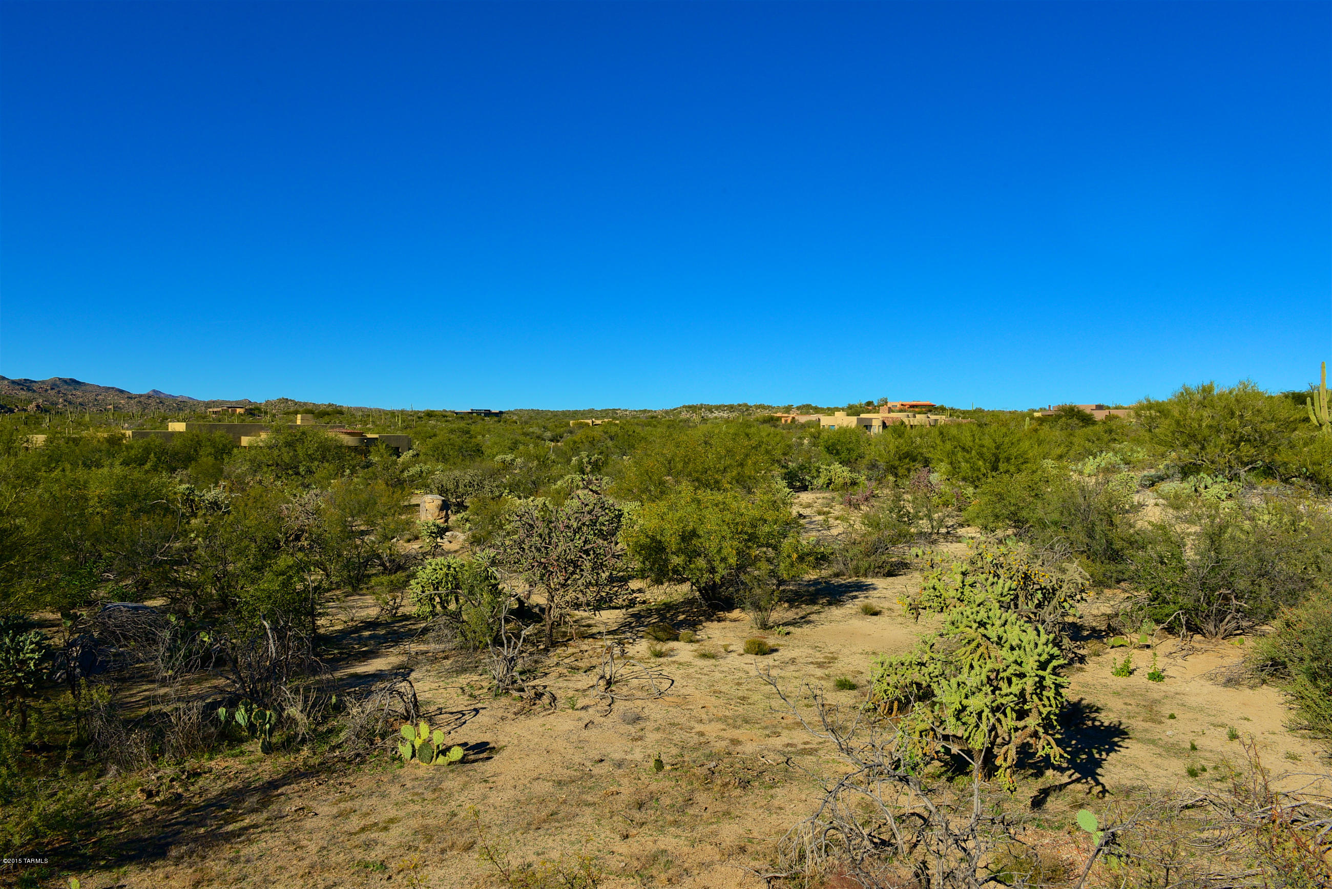 Honey Bee Ridge(The Estates At) - Land