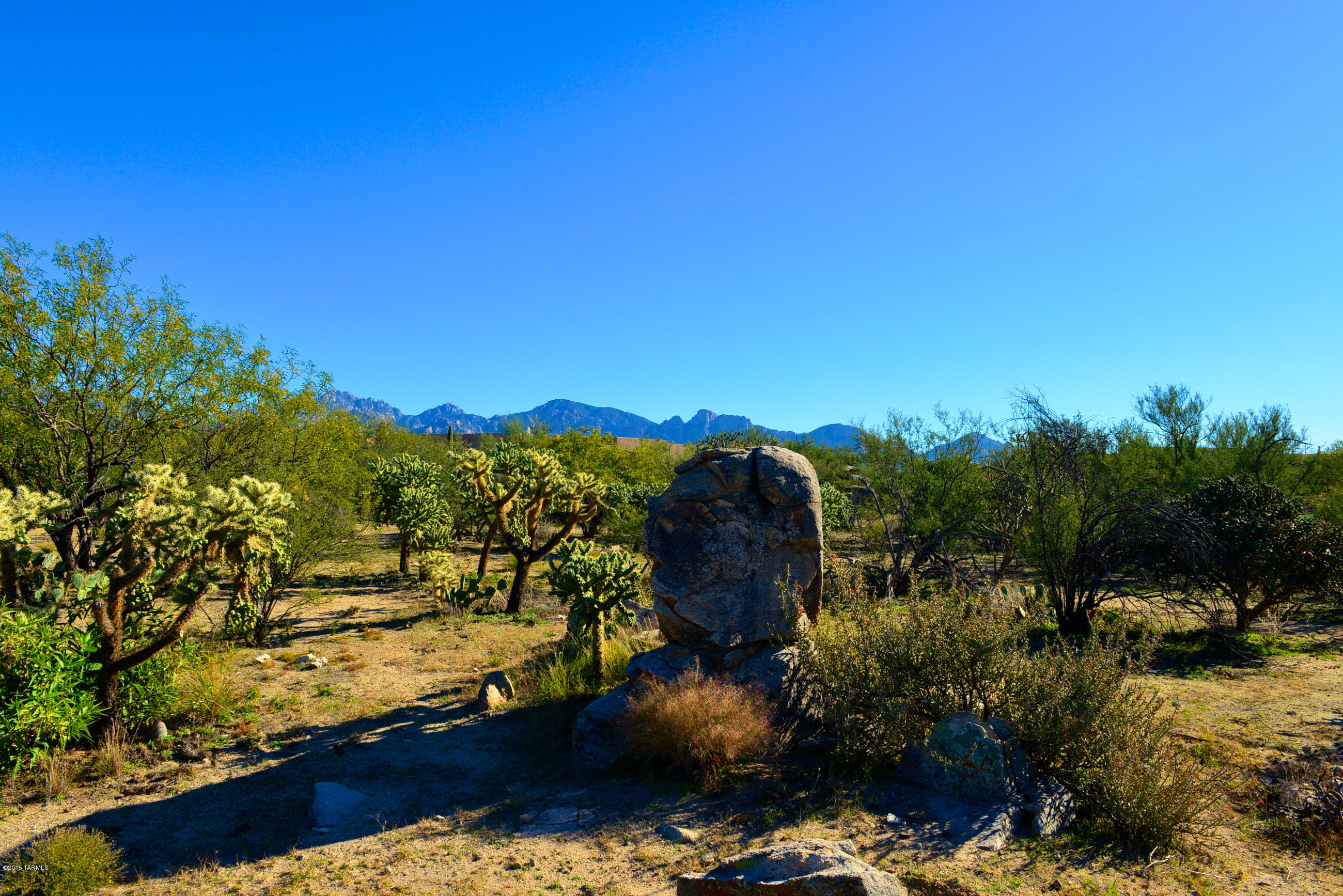 Honey Bee Ridge(The Estates At) - Land