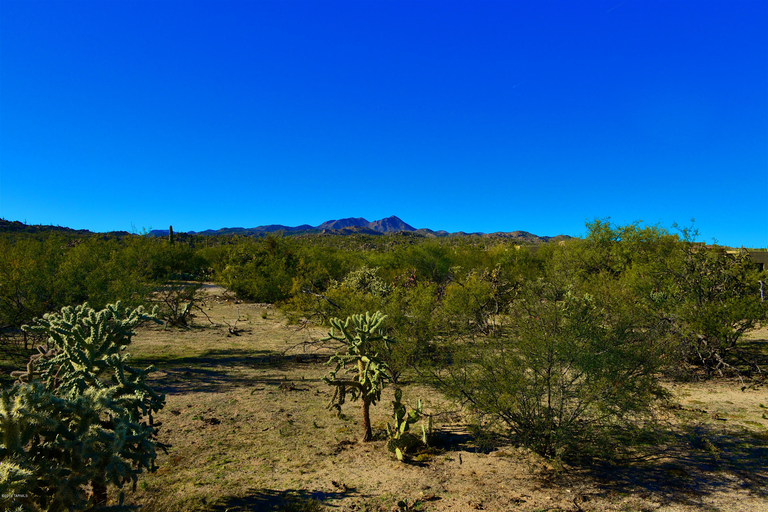 Honey Bee Ridge(The Estates At) - Land