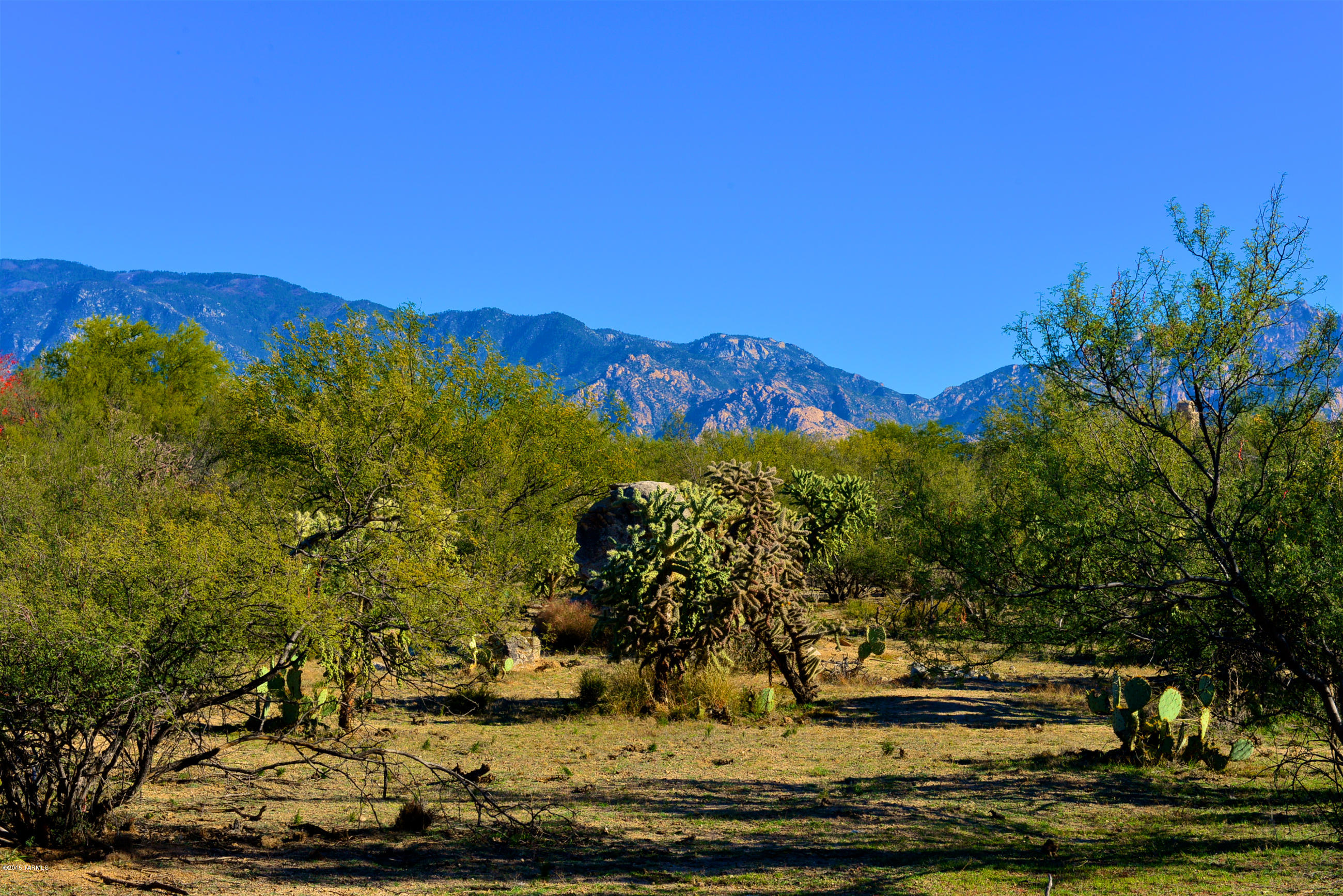 Enjoy majestic Catalina and rugged Tortolita Mtn views from this beautiful easy-build 1.06 acre homesite in the prestigious Oro Valley guard-gated community of the Estates at Honey Bee Ridge. Located on a secluded cul-de-sac near a protected saguaro-studded canyon with incredible rock formations, this homesite allows you to take advantage of views in all directions. Build when ready in this luxury development with only 128 homesites. Honey Bee Ridge is located within the master planned development of Rancho Vistoso and adjacent to Phil Mickelson's exclusive Stone Canyon Club with award-winning championship golf! Whether you love to hike, bike, swim, walk, bird-watch, play tennis, golf or just relax, Oro Valley offers the best of Arizona’s famed outdoor experiences.