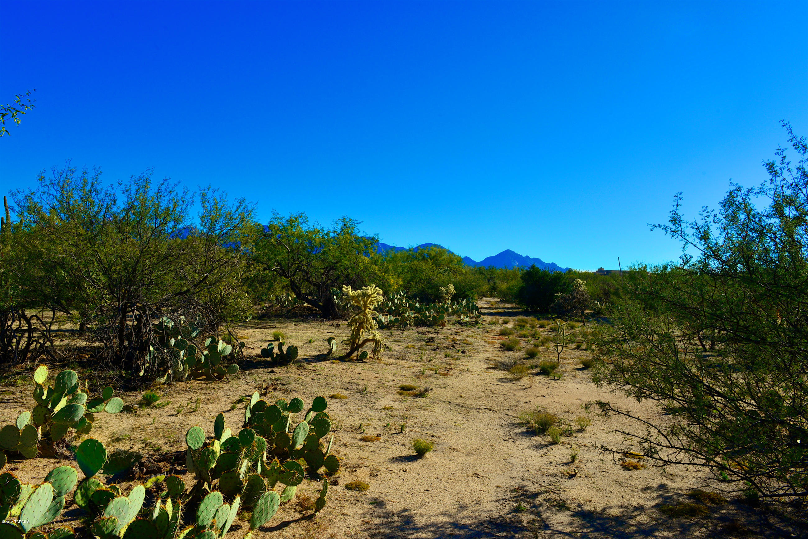Honey Bee Ridge(The Estates At) - Land