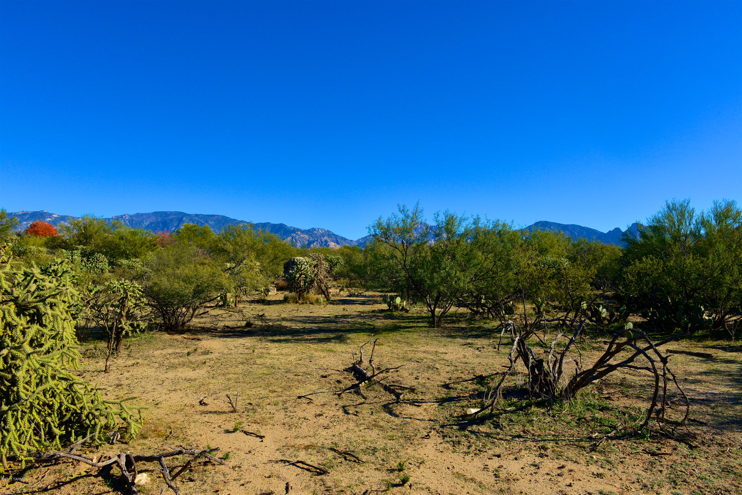 Honey Bee Ridge(The Estates At) - Land