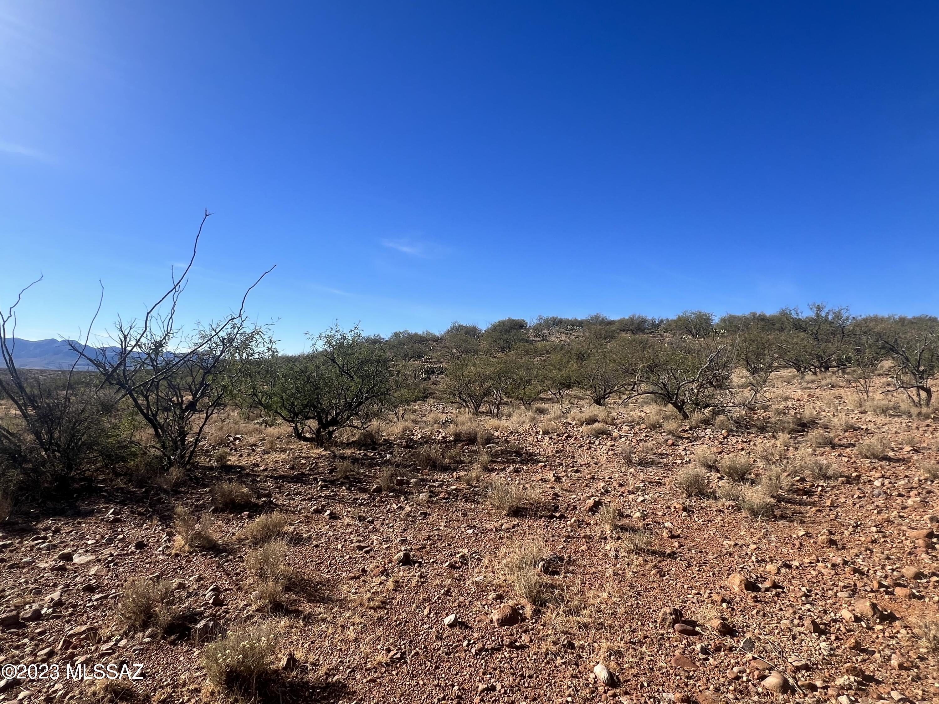 Tubac Foothills Ranch - Land