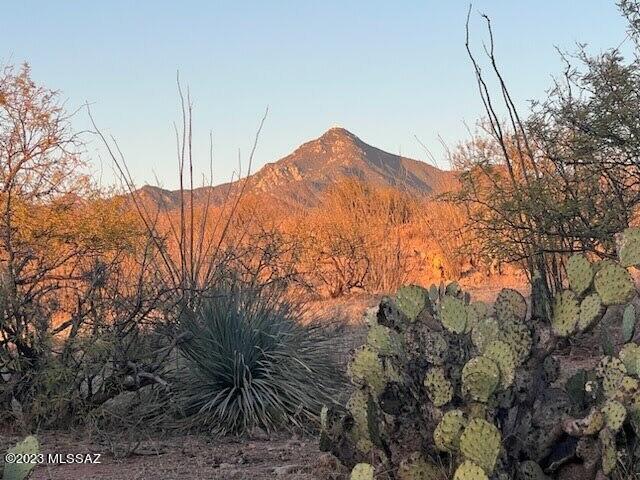 Tubac Foothills Ranch - Land