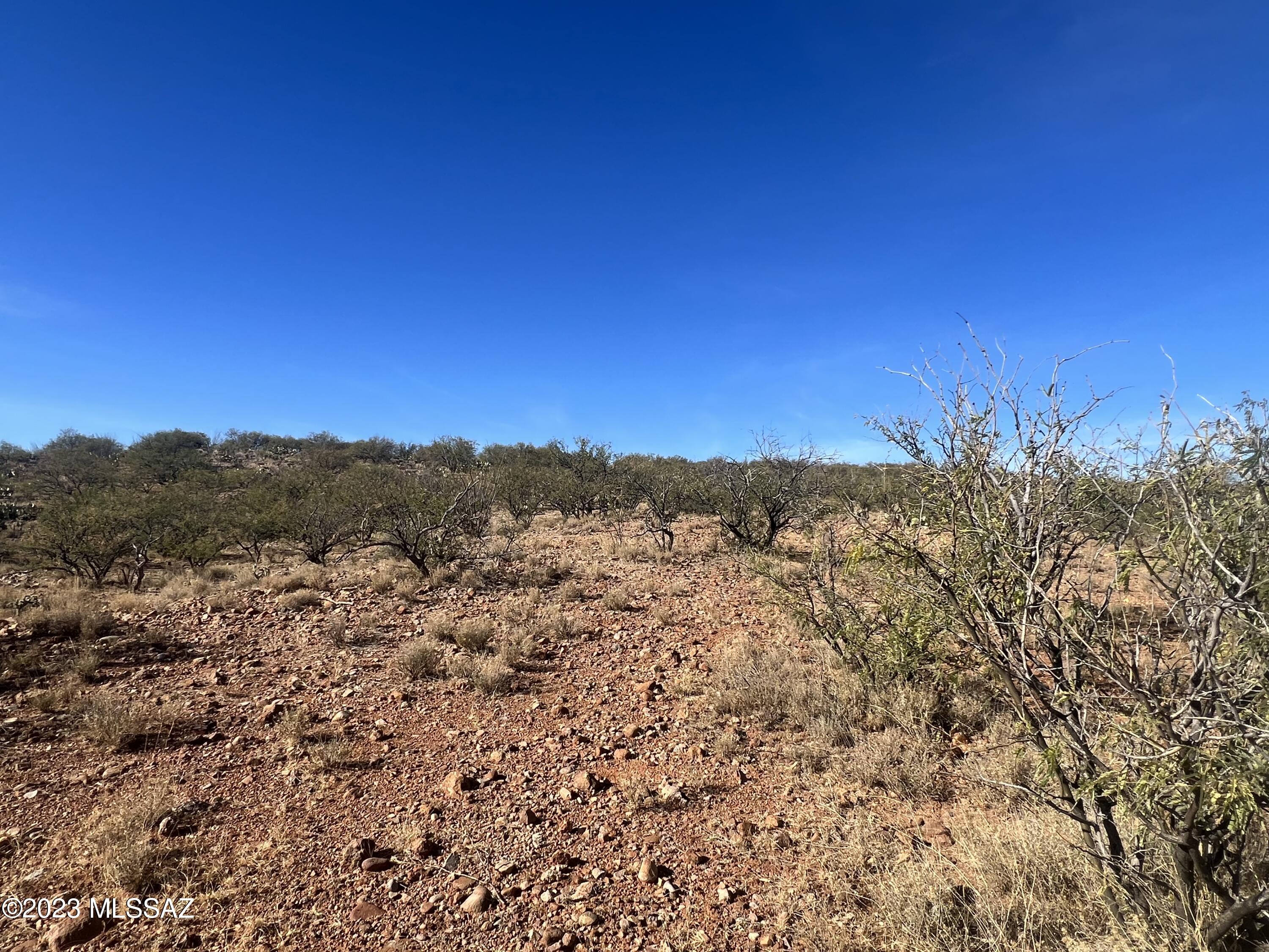 Tubac Foothills Ranch - Land