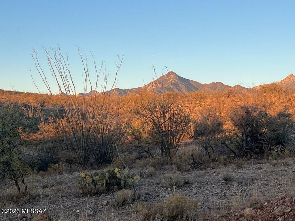 Tubac Foothills Ranch - Land