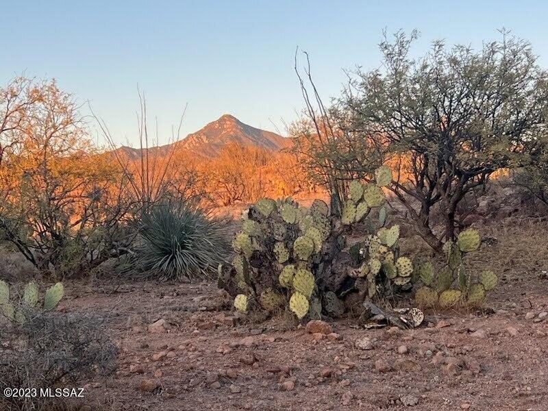 Tubac Foothills Ranch - Land